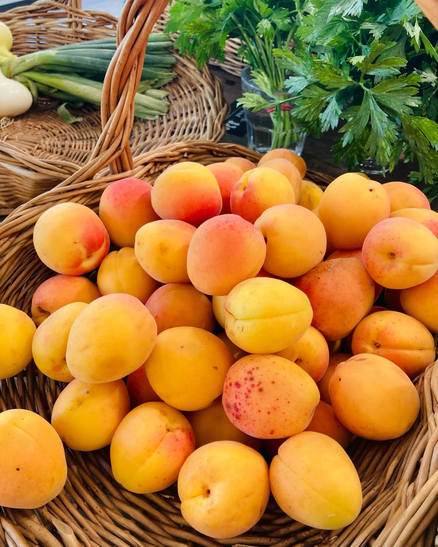 #apricots 
MO - FR: 8 - 19
SAMSTAG: 8 - 18
Wielandplatz 8, Basel

#bio #gotthelfquartier #sch&uuml;tzenmattpark #bioladenfeigenbaum #basel #local #organic #coffeeshop #grocerystore #bakery #pastries #shop #smallbusiness