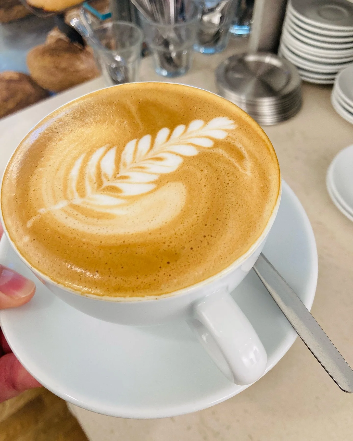 Bio-Cappuccino ☕️
MO - FR: 8 - 19
SAMSTAG: 8 - 18
Wielandplatz 8, Basel

#bio #gotthelfquartier #sch&uuml;tzenmattpark #bioladenfeigenbaum #garden #coffee #latteart #cappuccino #basel #local #organic #coffeeshop #grocerystore #bakery #pastries #shop 