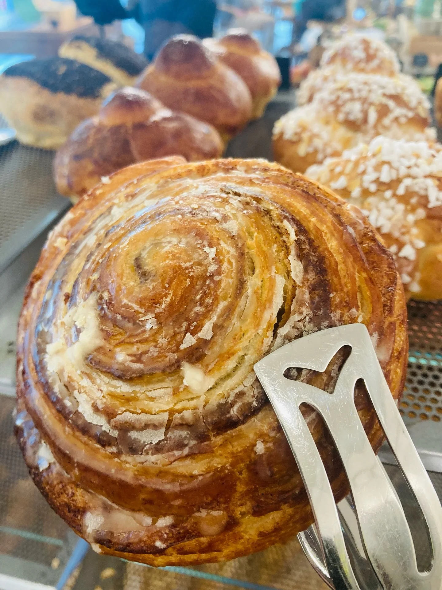 #zimtschnecke #bio

MO - FR: 8 - 19
SAMSTAG: 8 - 18
Wielandplatz 8, Basel

#bio #gotthelfquartier #sch&uuml;tzenmattpark #bioladenfeigenbaum #garden #coffee #latteart #cappuccino #basel #local #organic #coffeeshop #grocerystore #bakery #pastries #sho