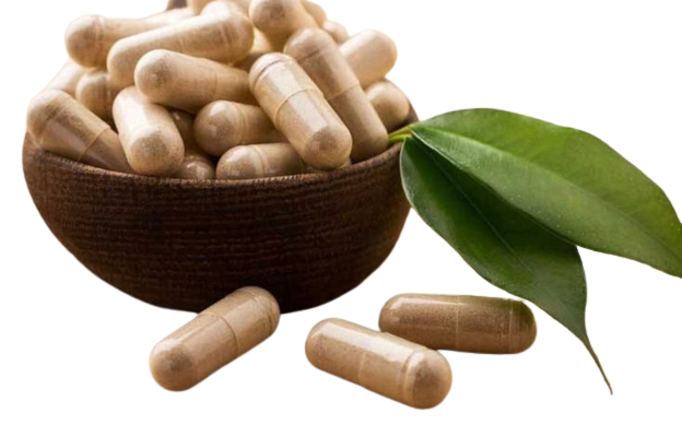 micro-dose capsules of psilocybin mushrooms