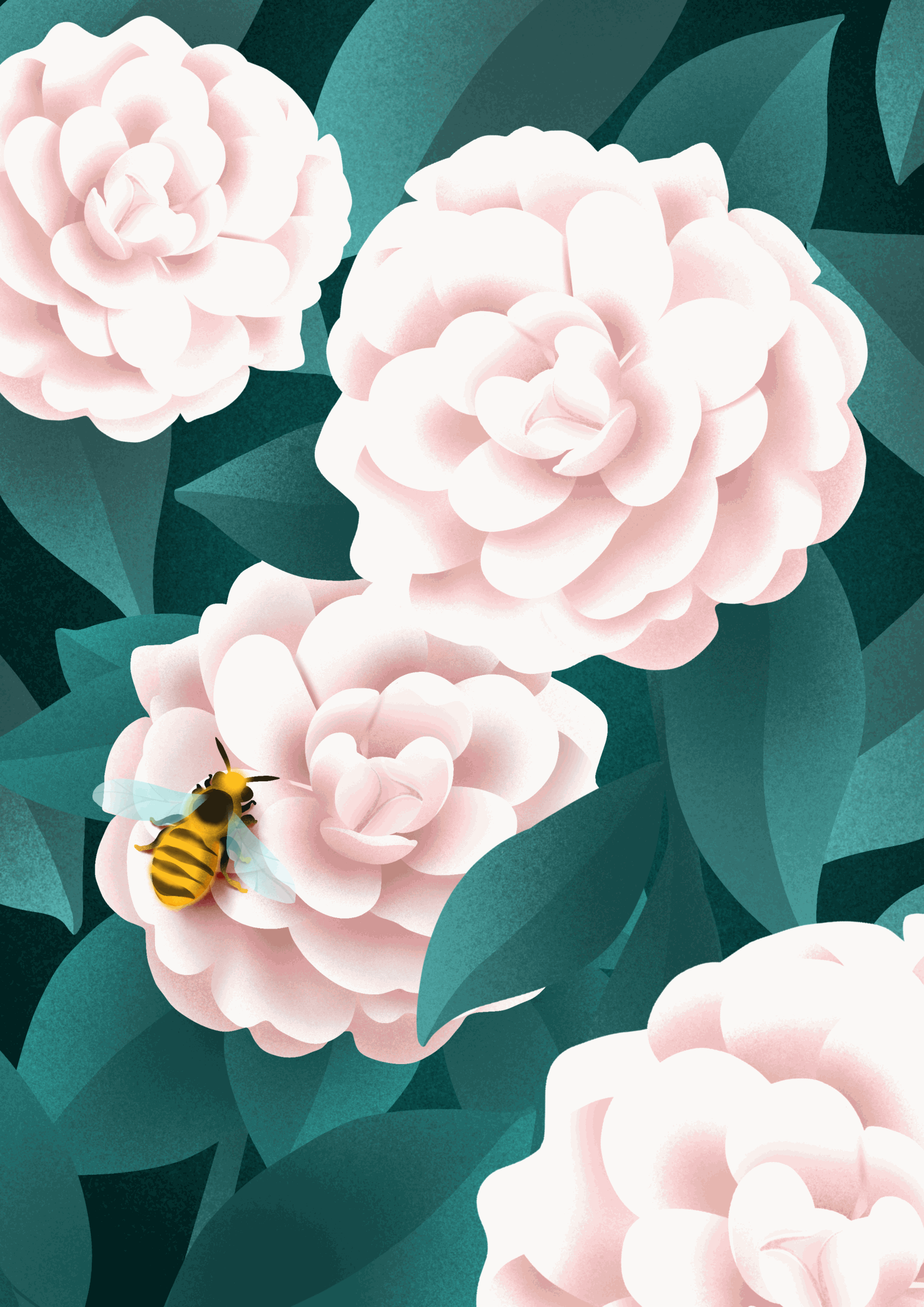 Illustration_sans_titre 6 copie.gif