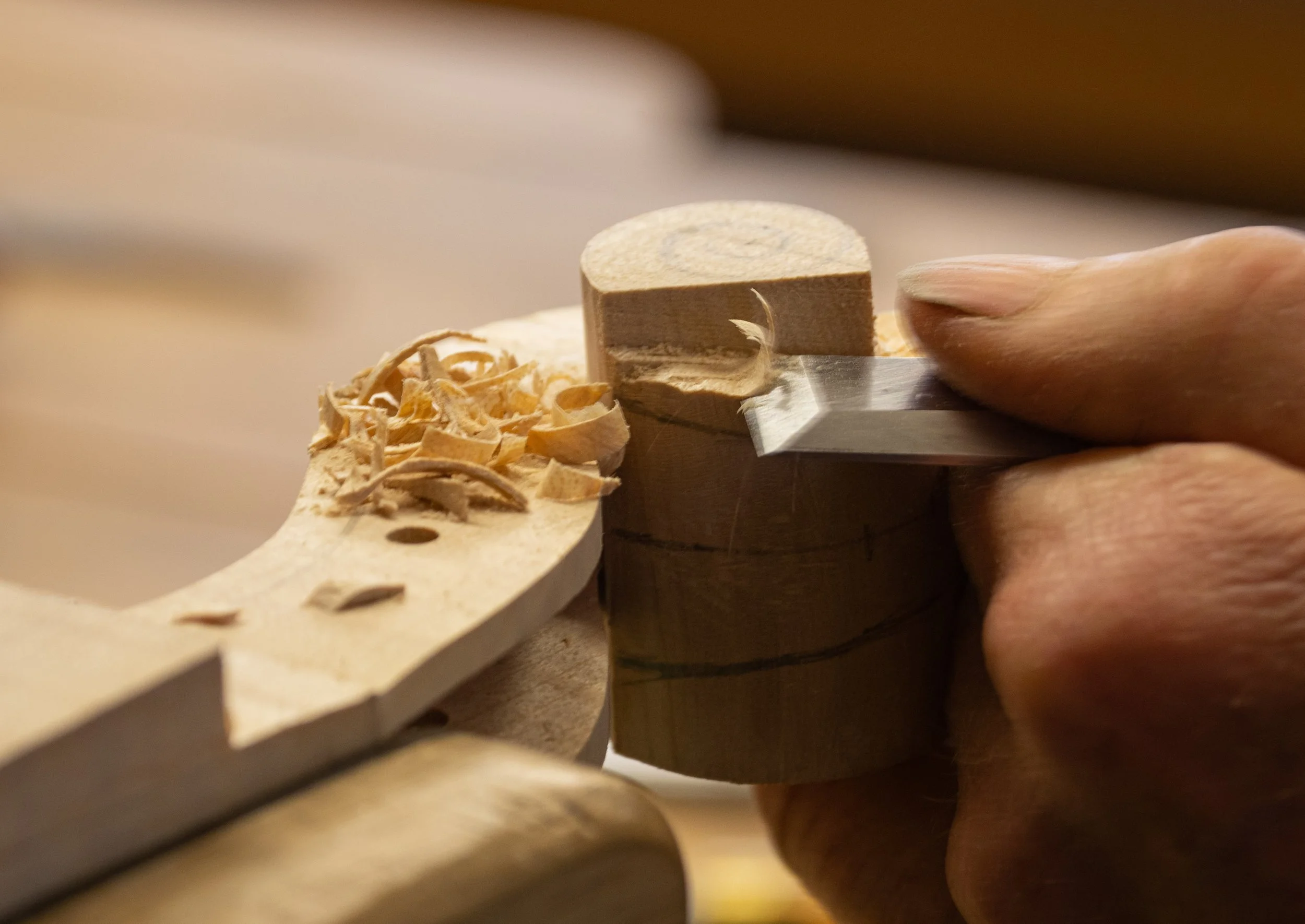 F holes & Scroll-3.jpg