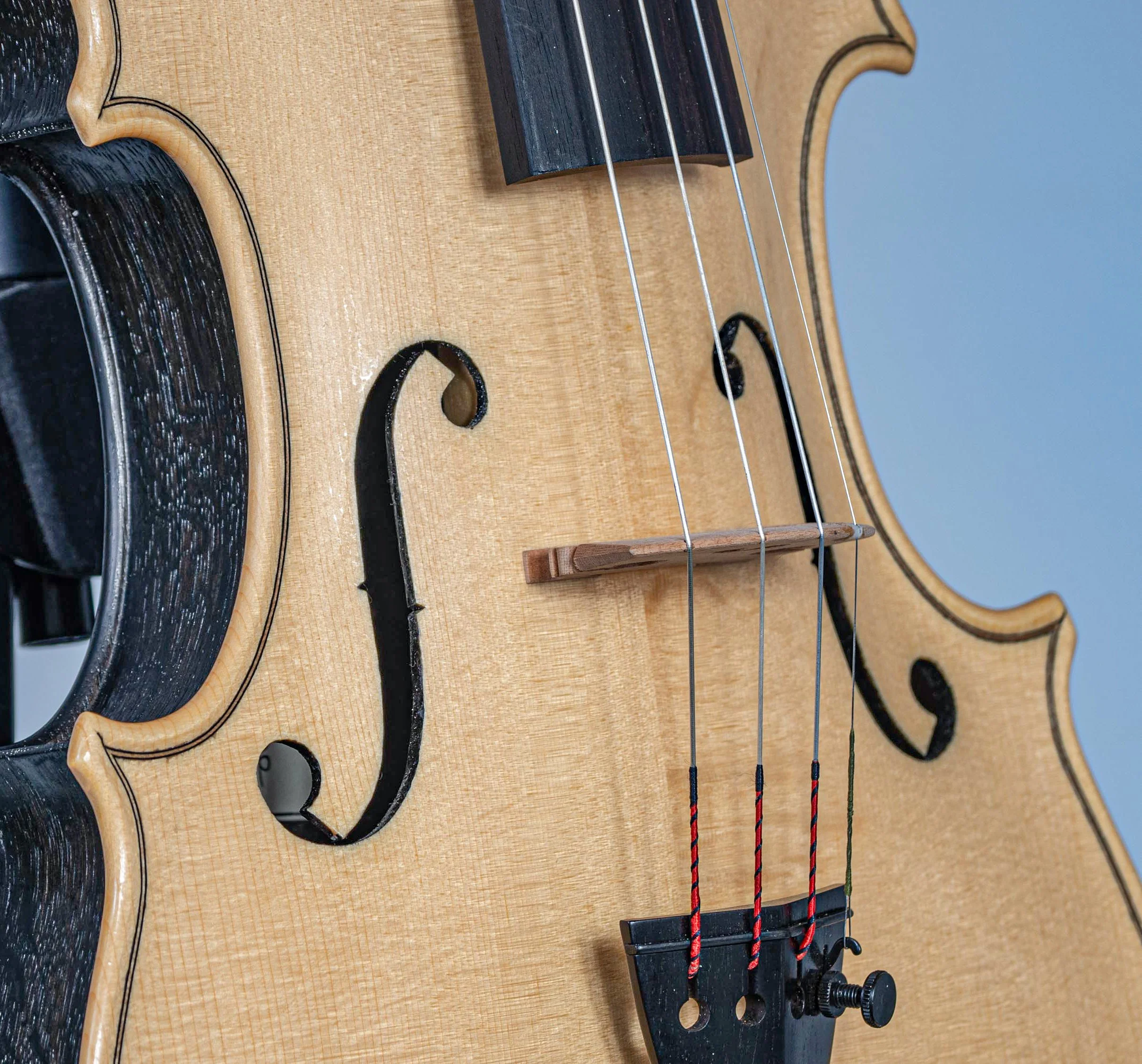 The Black Oak Violin