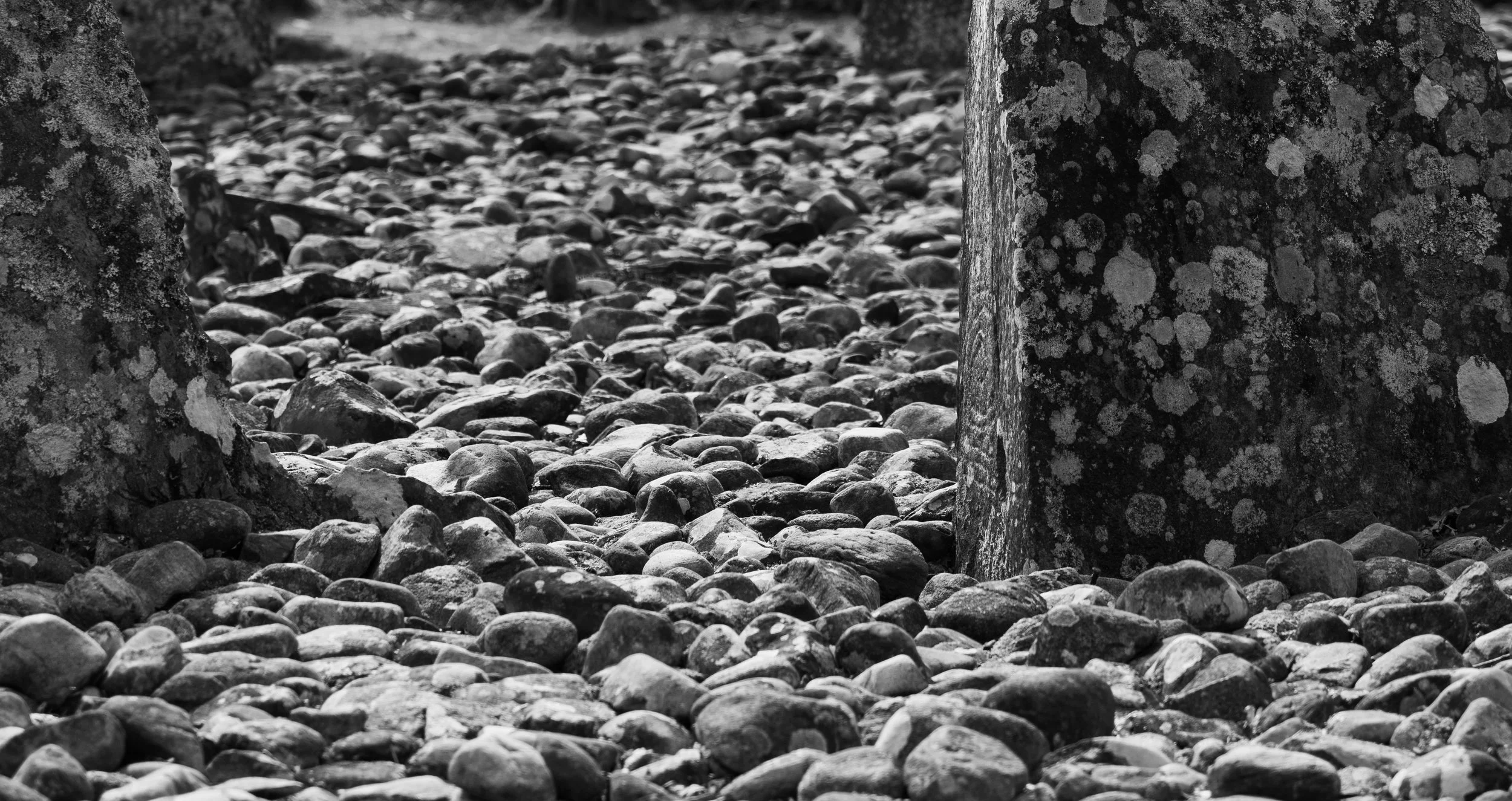 Black and white photo of rocks and stones with two tree trunks on each side.
