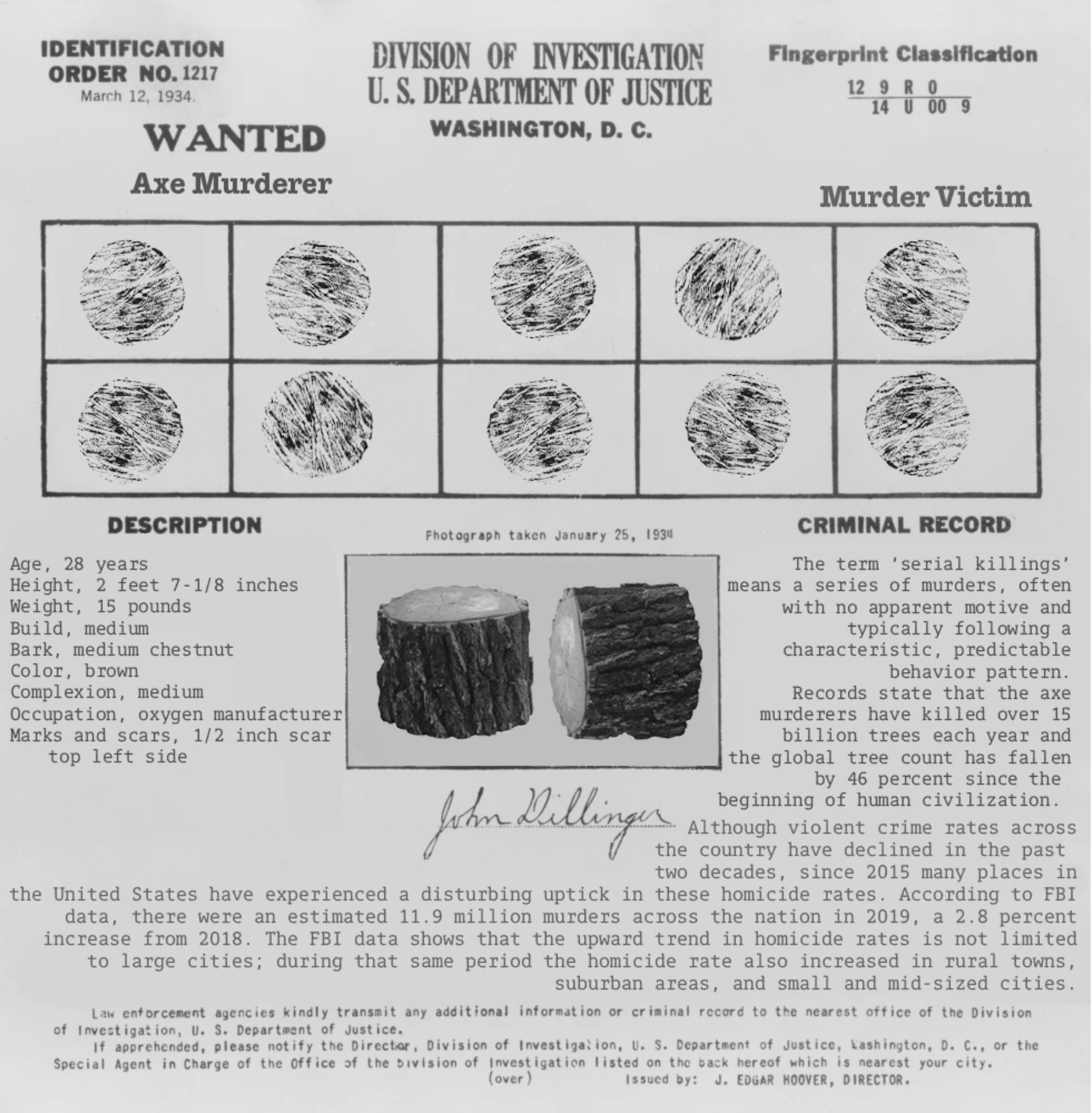 Adobe Photoshop Deforestation Poster