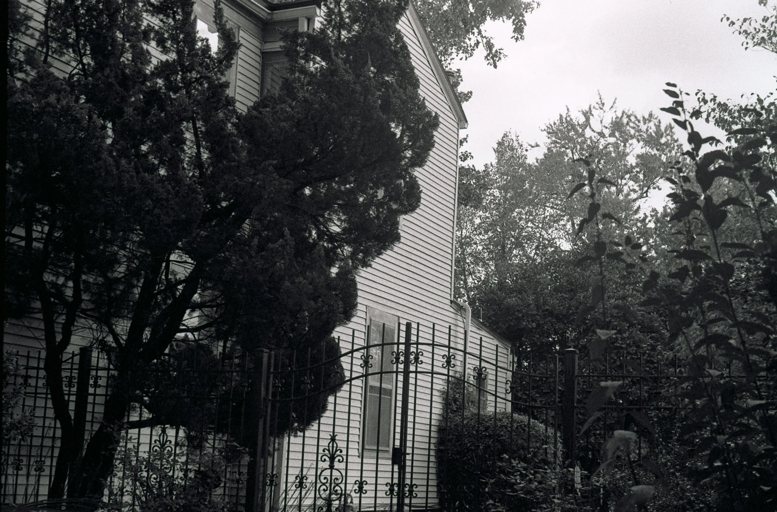 Halloween 2021 - 35mm Film