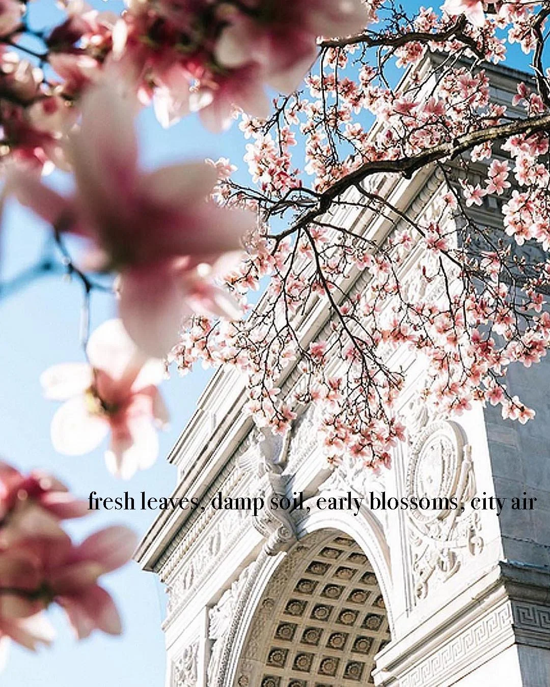 Dream Scent Walk: East Village - Tribeca - Chelsea - Back Again