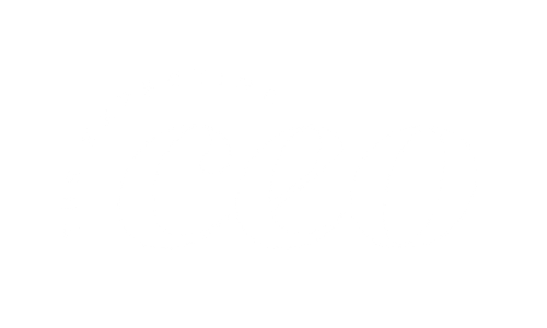 The Expecting CEO