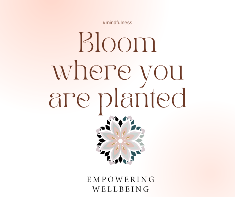 mindfulness quotation for counselling training