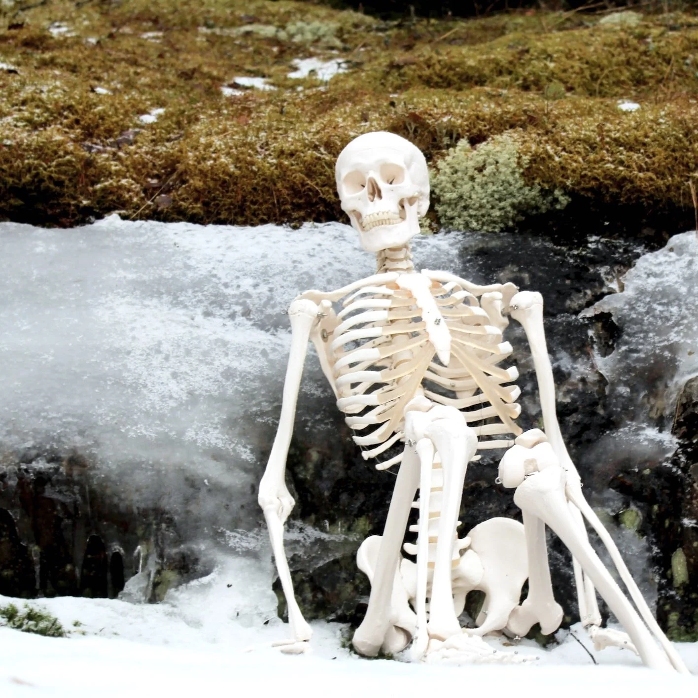 Acupuncture for the Treatment of Osteoporosis