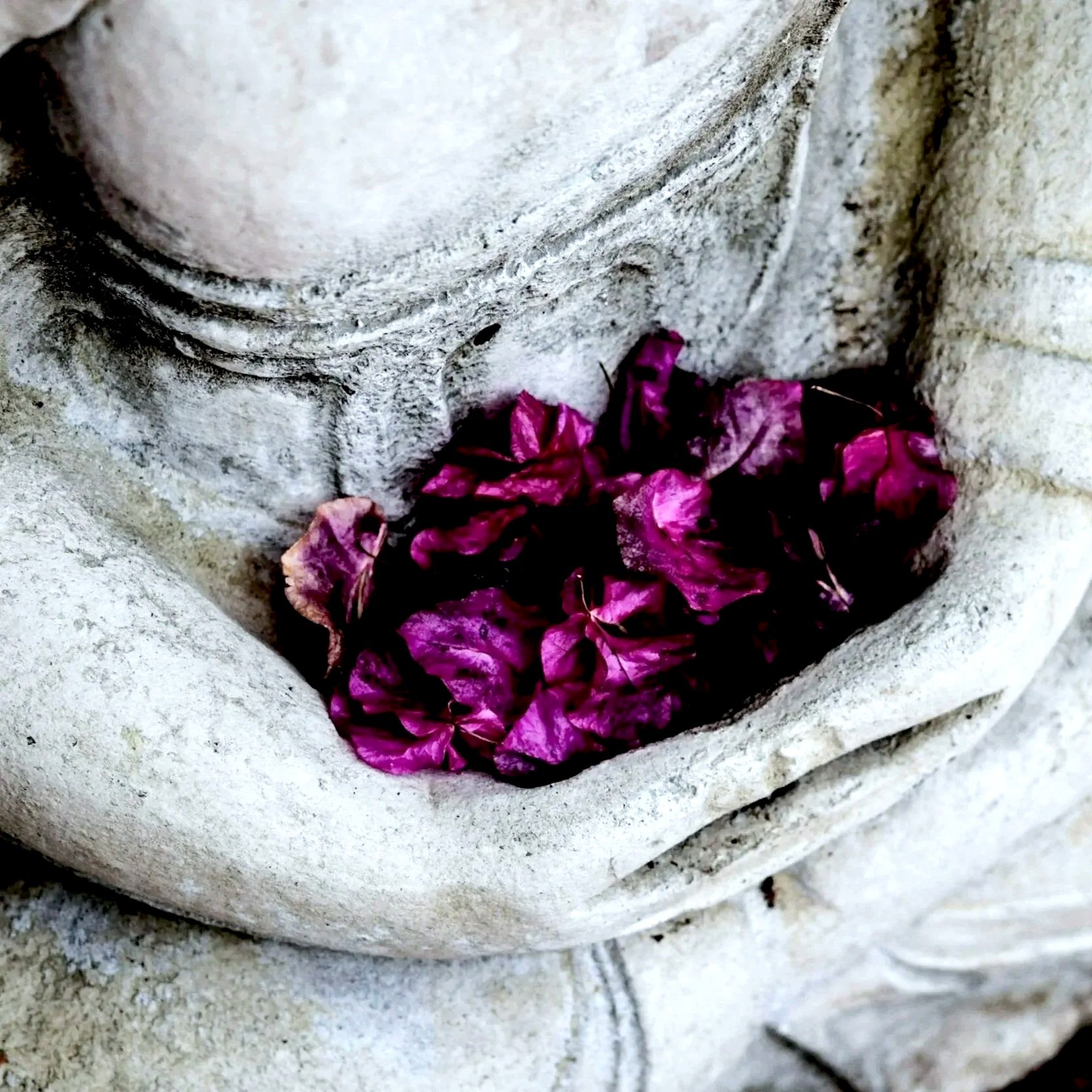 Acupuncture, Buddhism &amp; Quantum Medicine