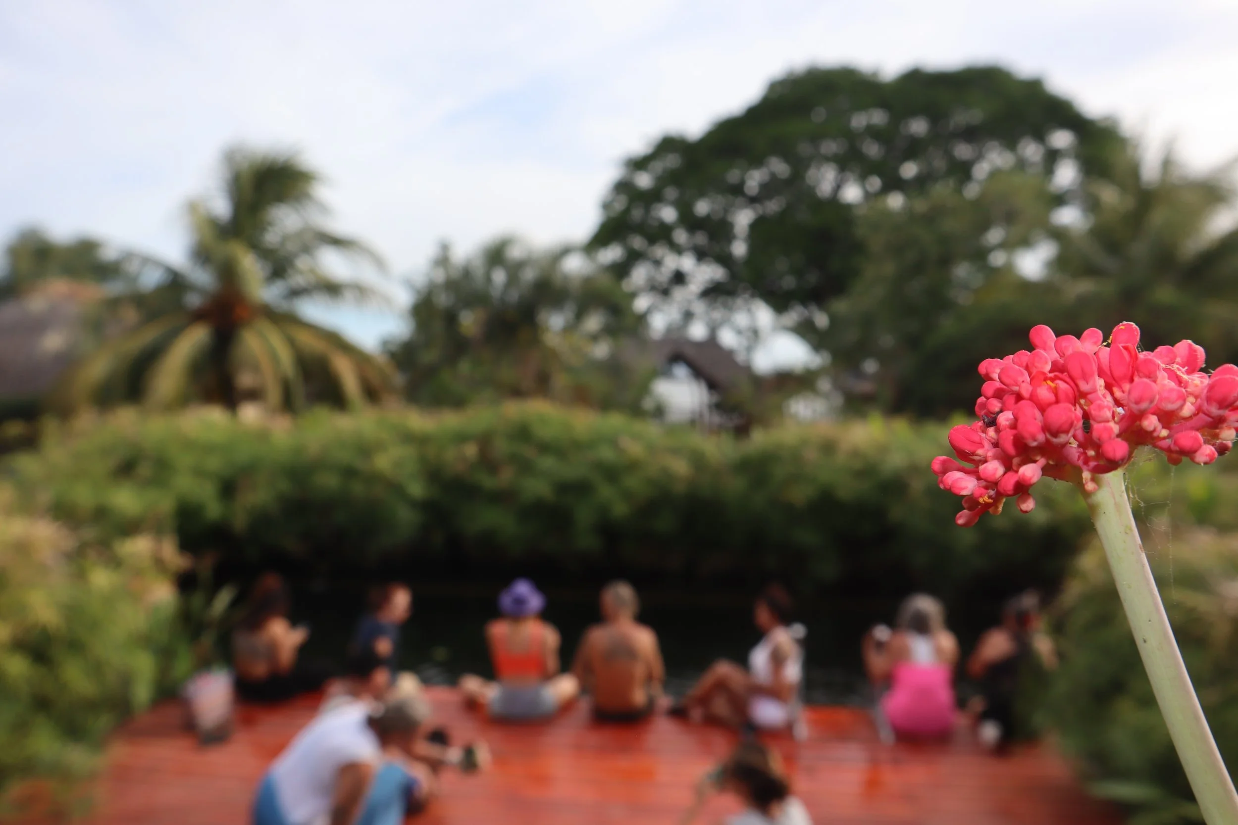 Copy of IMG_5785.jpeg