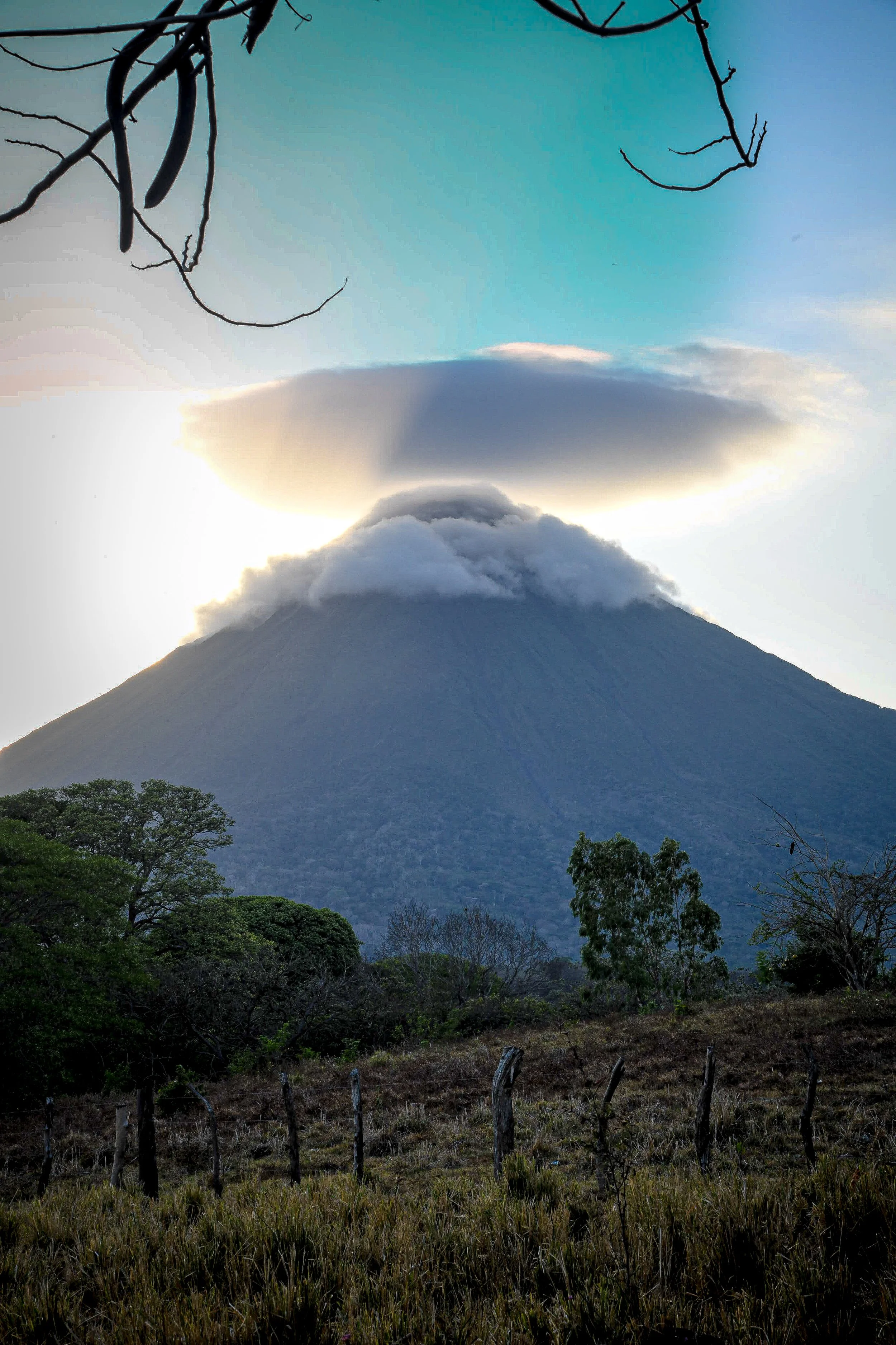 Copy of DSC_1599.jpeg