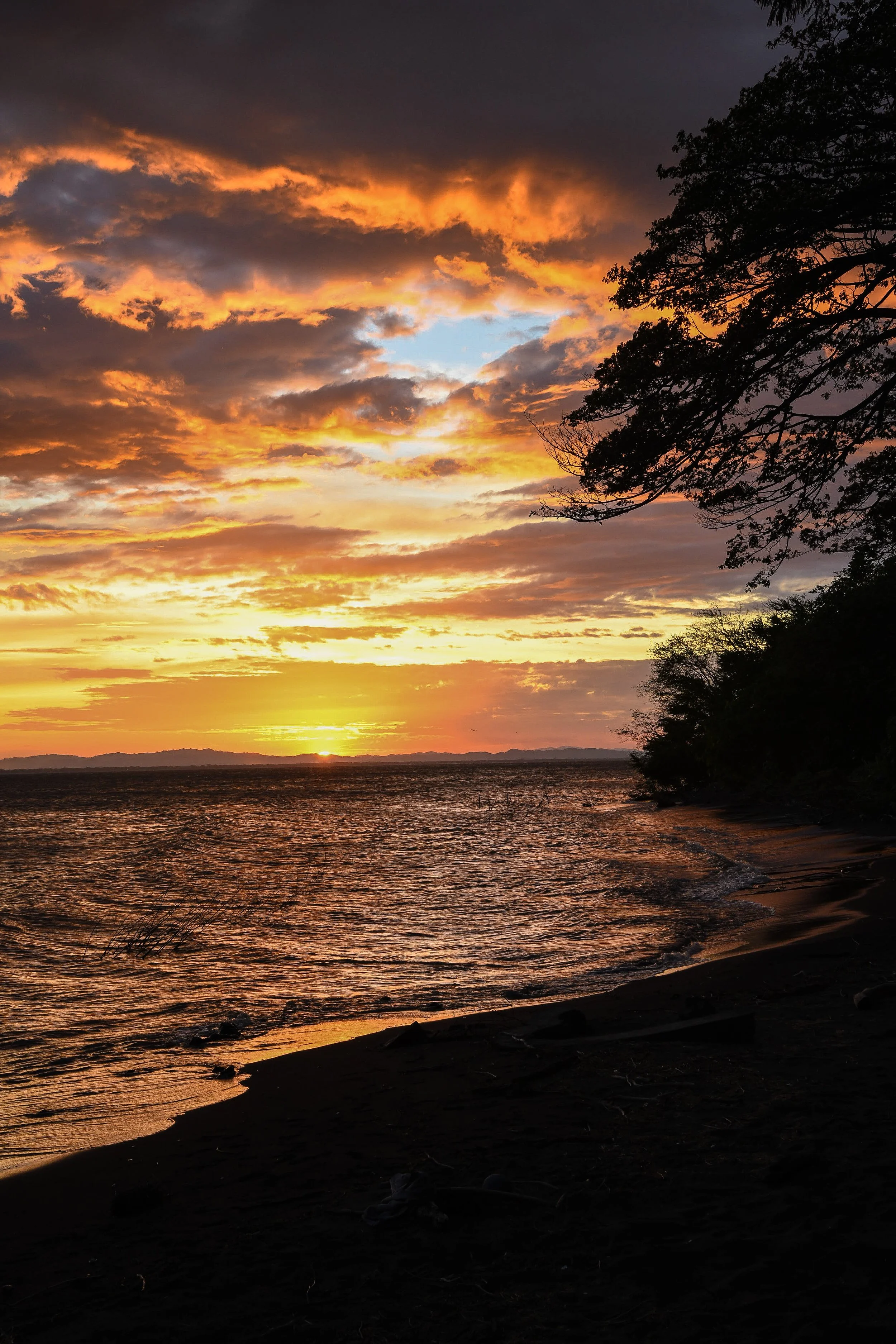 Copy of DSC_1396.jpeg