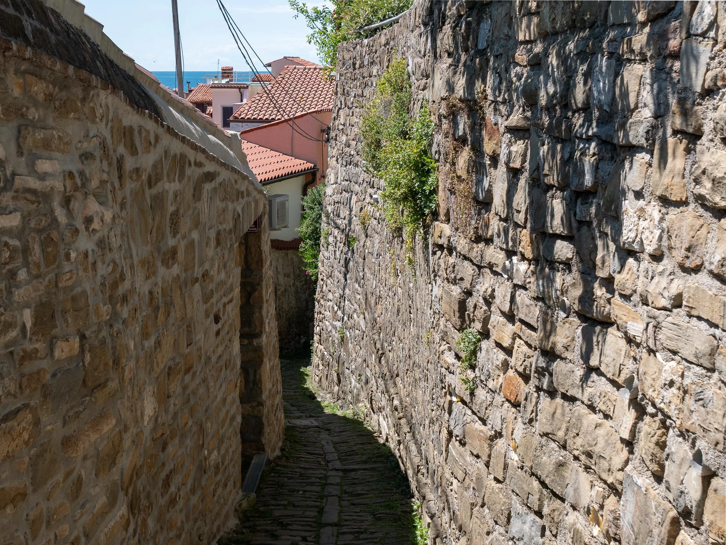 25-260517-140_Istria--SqSp.jpg