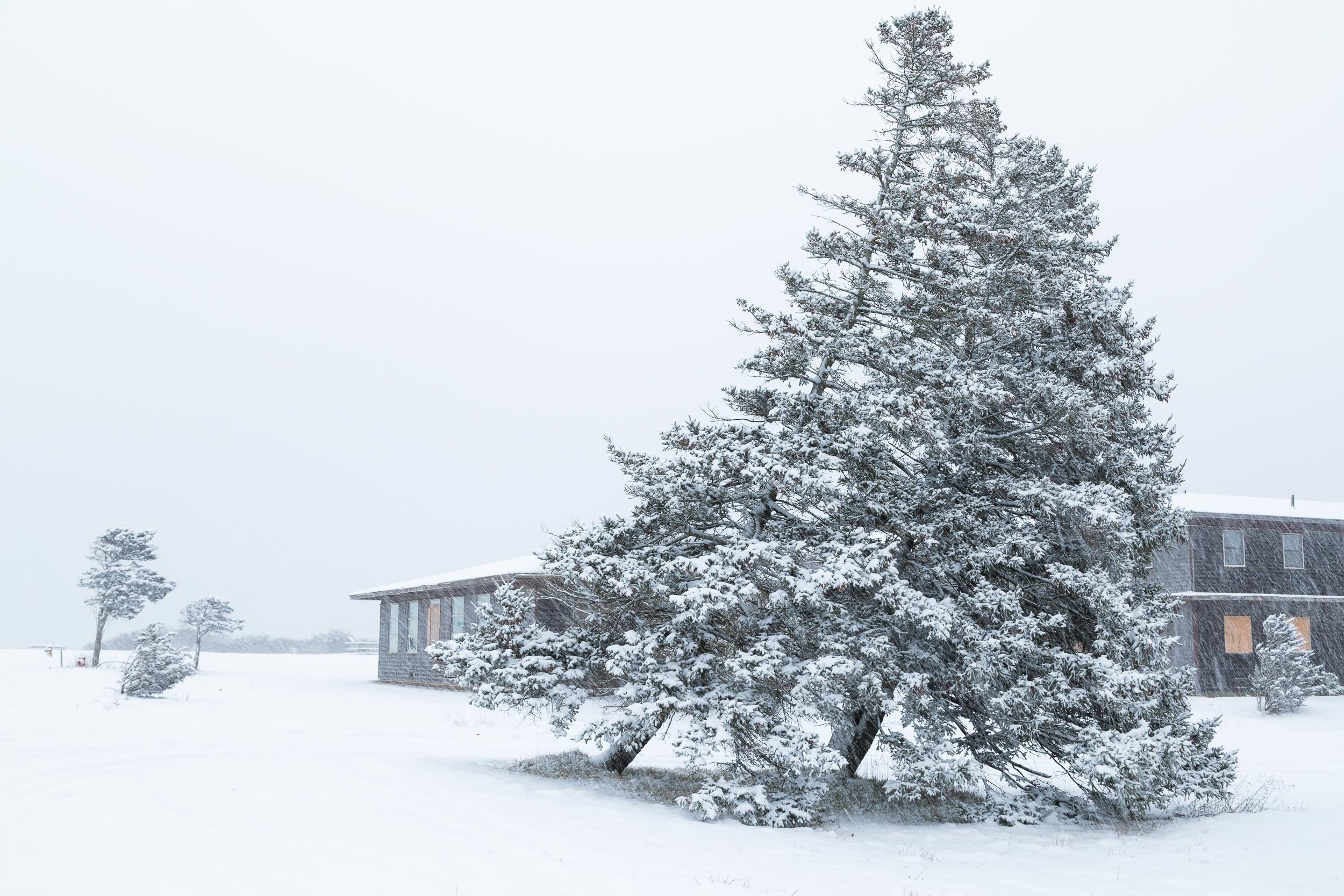 16-170106_N Truro AFS-016--SqSp.jpg