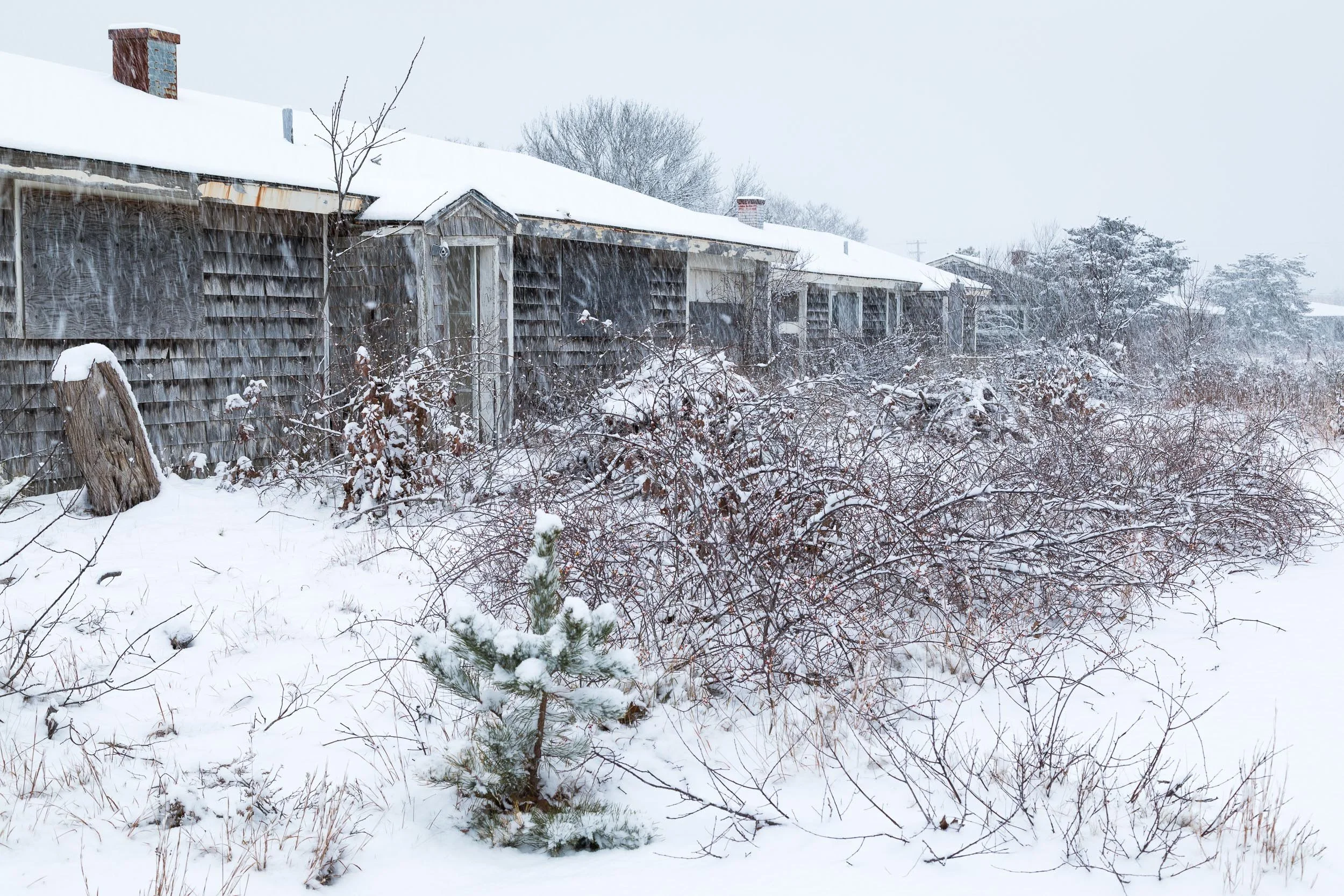 15-170106_N Truro AFS-008--SqSp.jpg