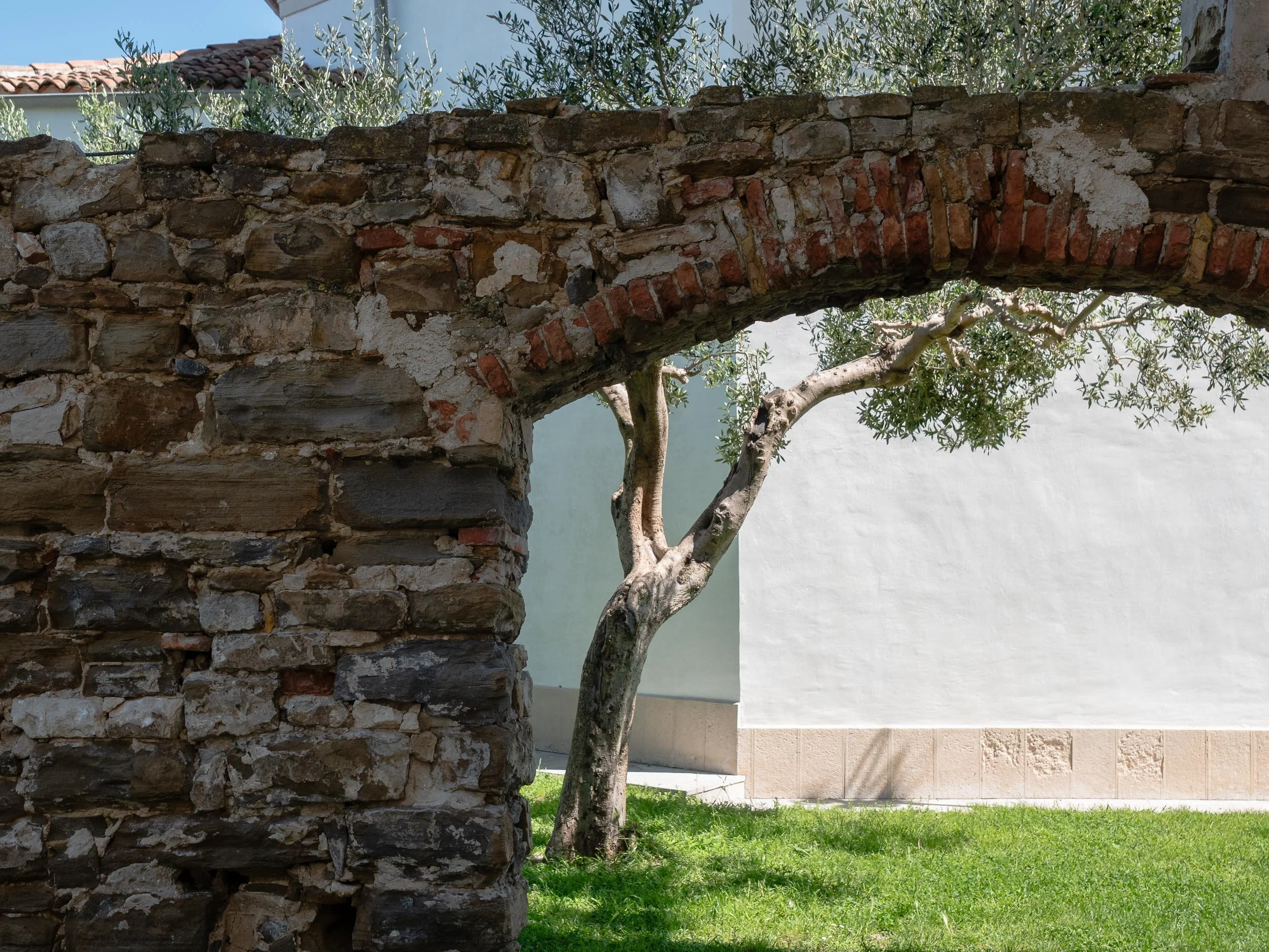 08-260517-155_Istria--SqSp.jpg