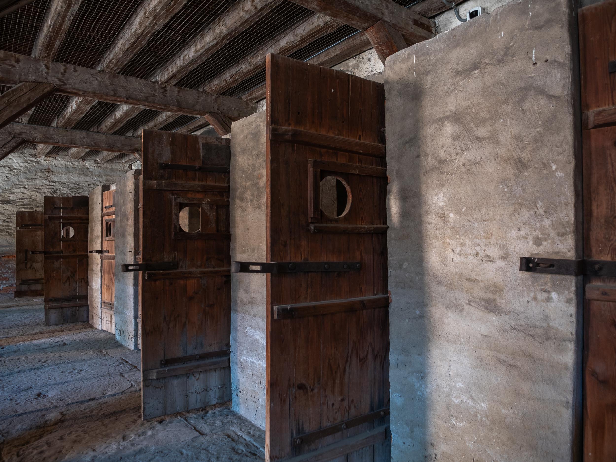 10-260518-213_Istria--SqSp.jpg