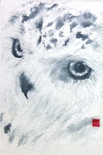 snowy owl painted in sumi-e style