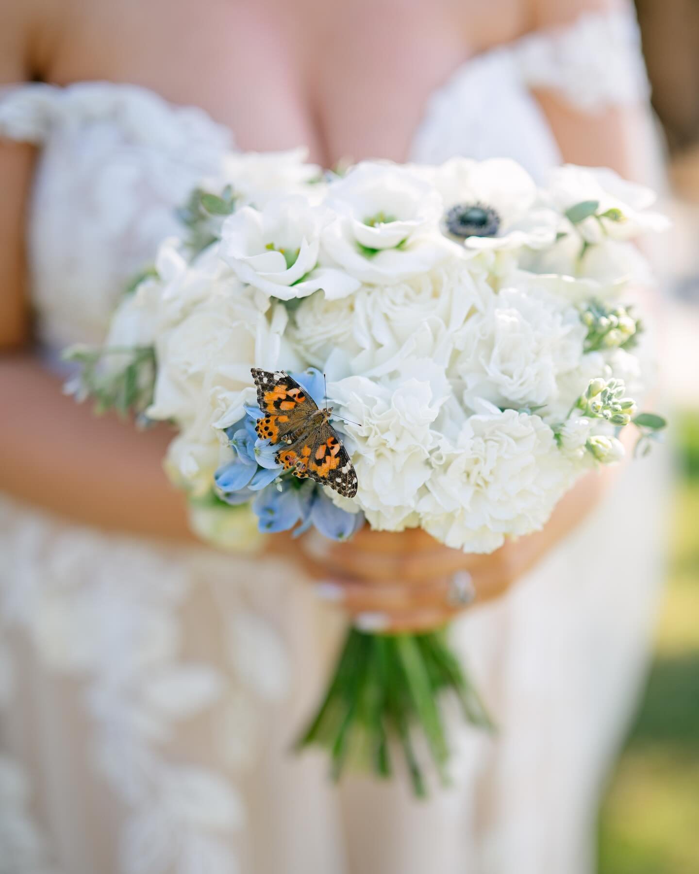 Details 😍✨🌿

#sandiegoweddingphotographer #losangelesweddingphotographer #lagunabeachweddingphotographer #socalweddingphotographer #sanfranciscoweddingphotographer #weddingphotography #weddingphotographer #laweddingphotographer #longbeachweddingpho