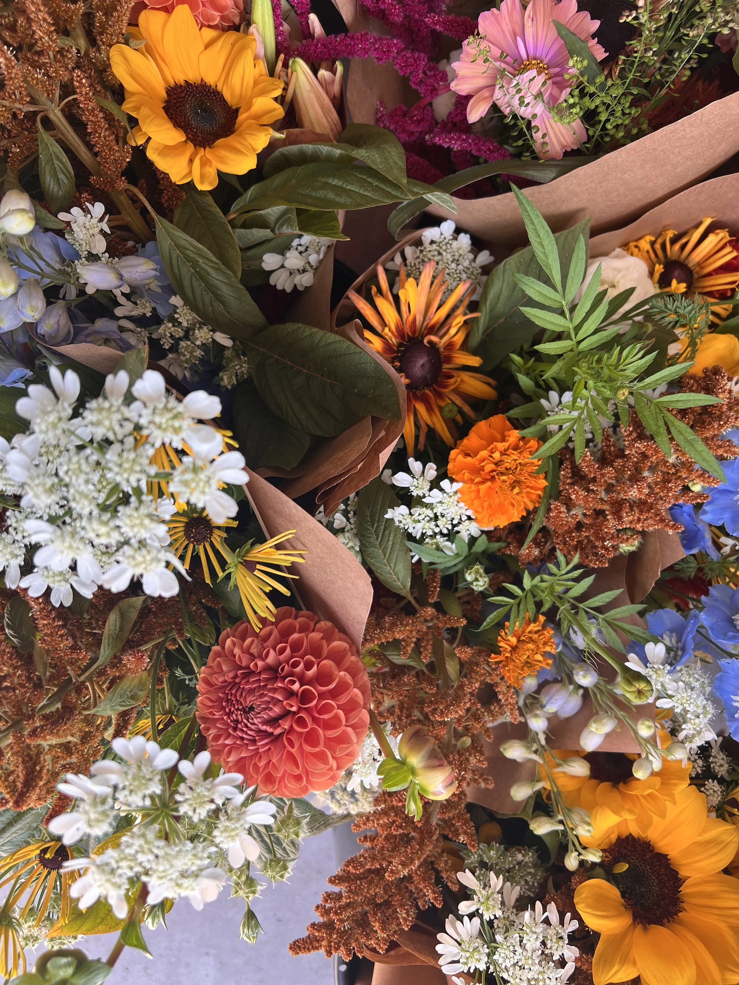 September - Seasonal Mixed Bouquet