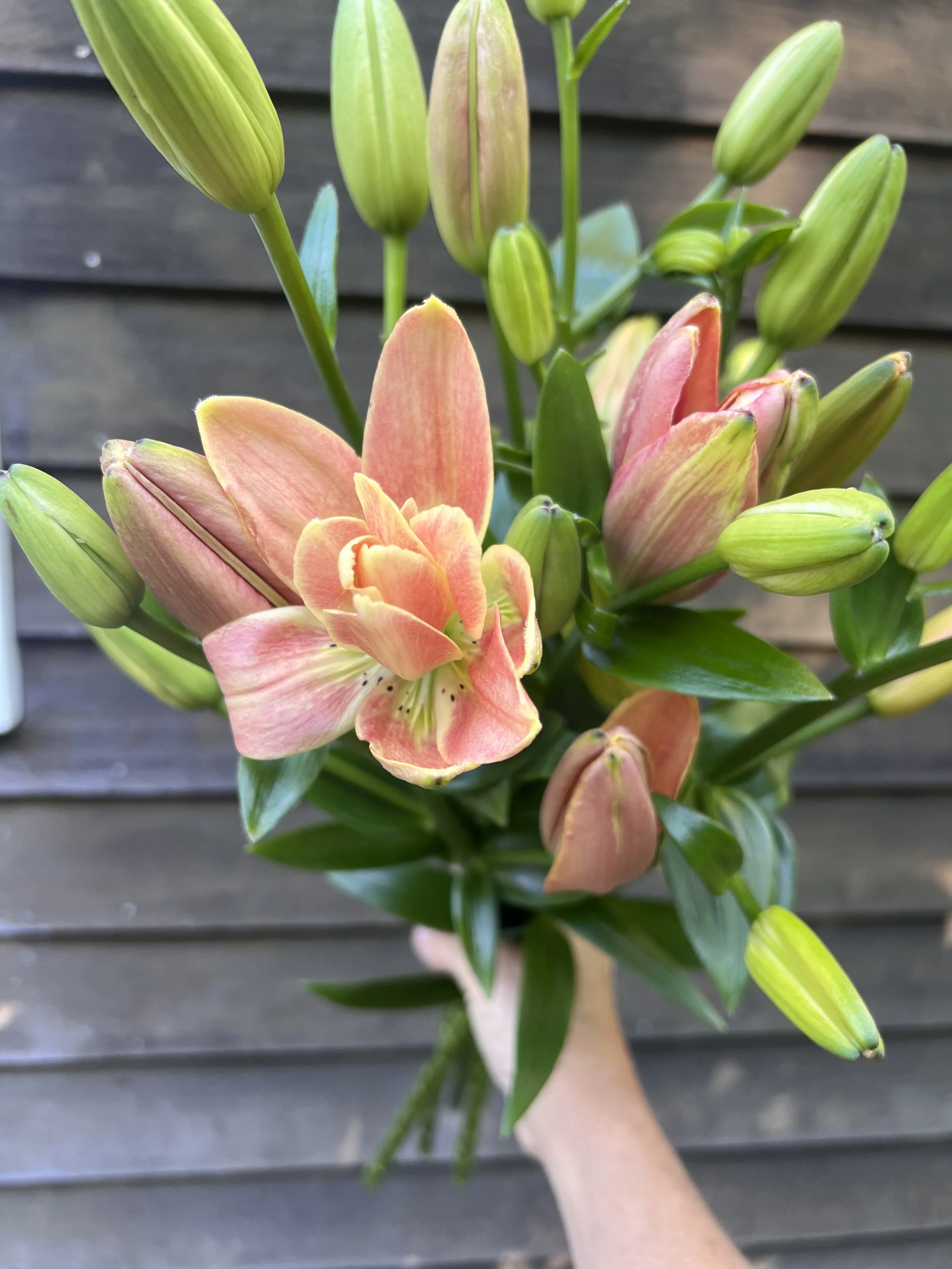JULY - Lily Bouquet, UNSCENTED, colors vary each week and photos are examples -