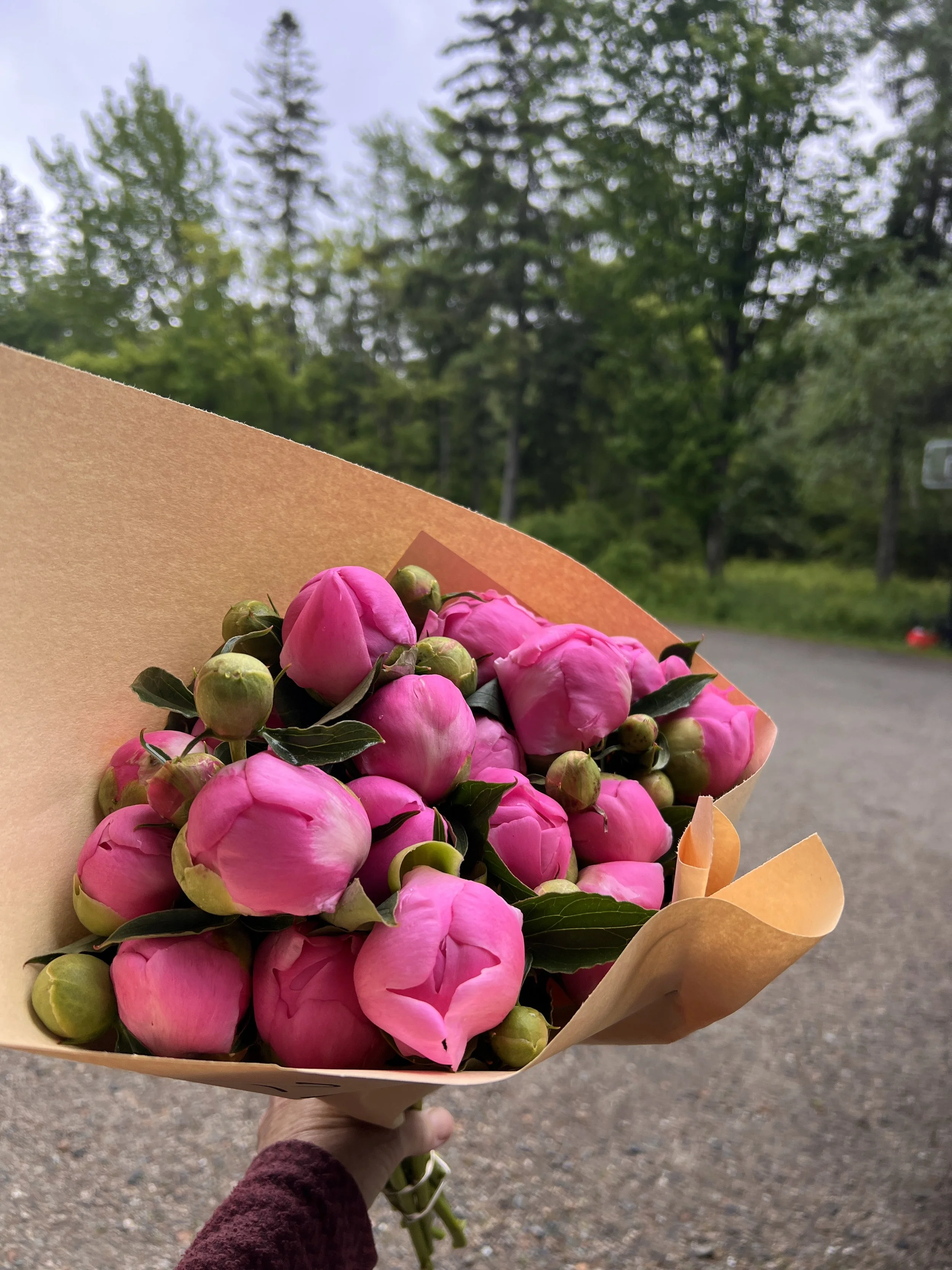 Level UP Peony Bouquet (20 speciallty stems)