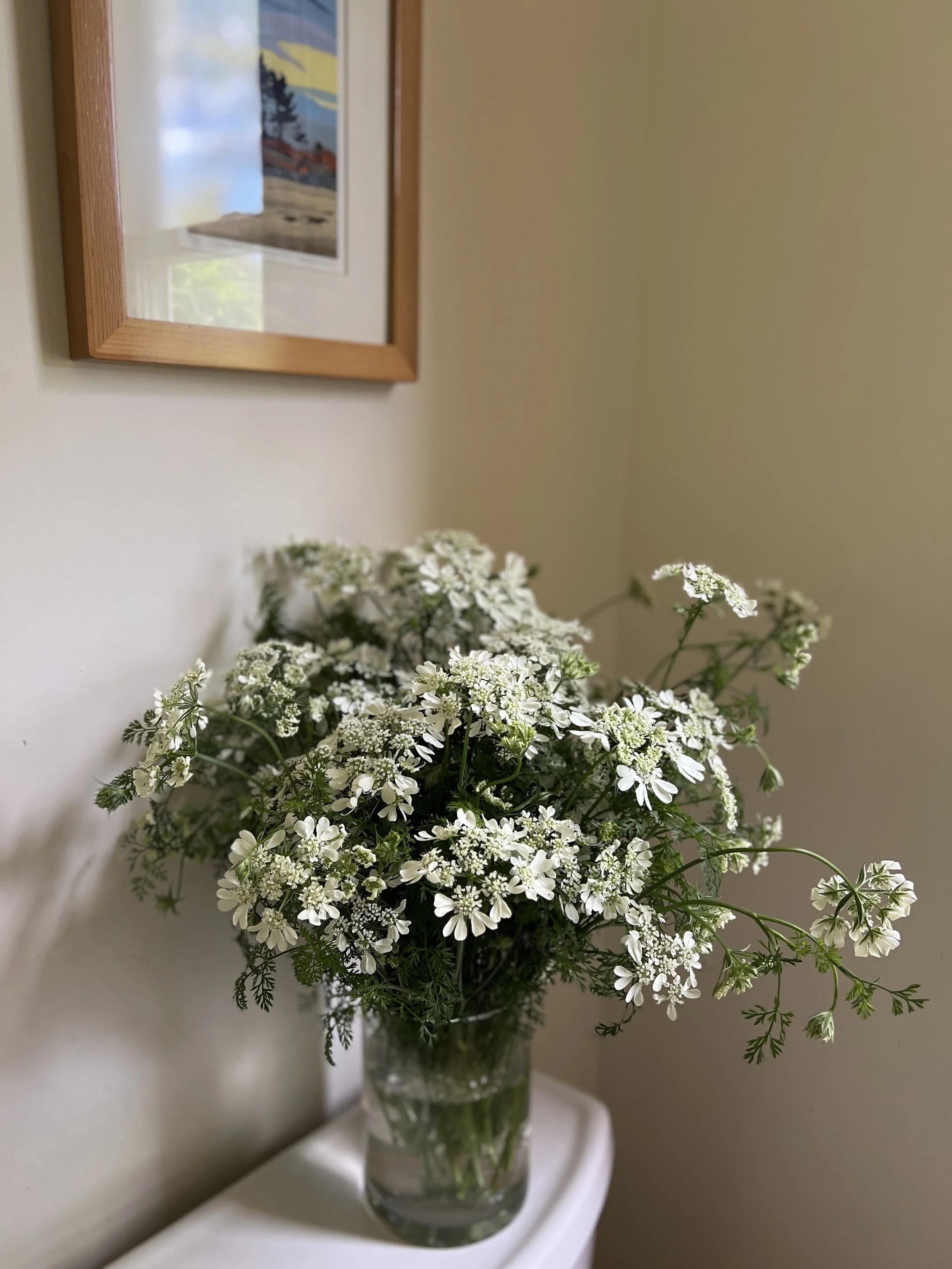 IMG_5095.jpeg