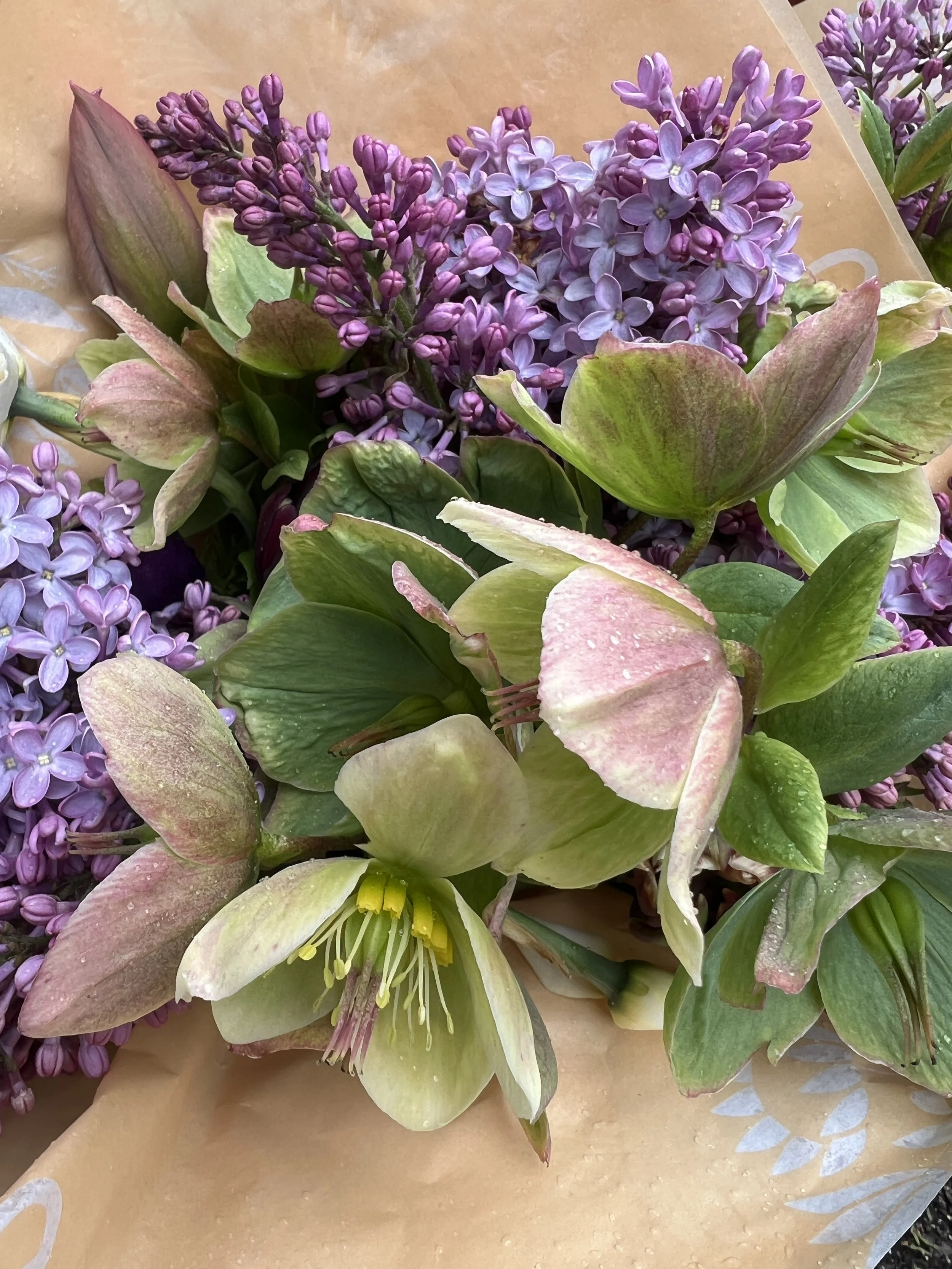 Seasonal Mixed Bouquet, two sizes