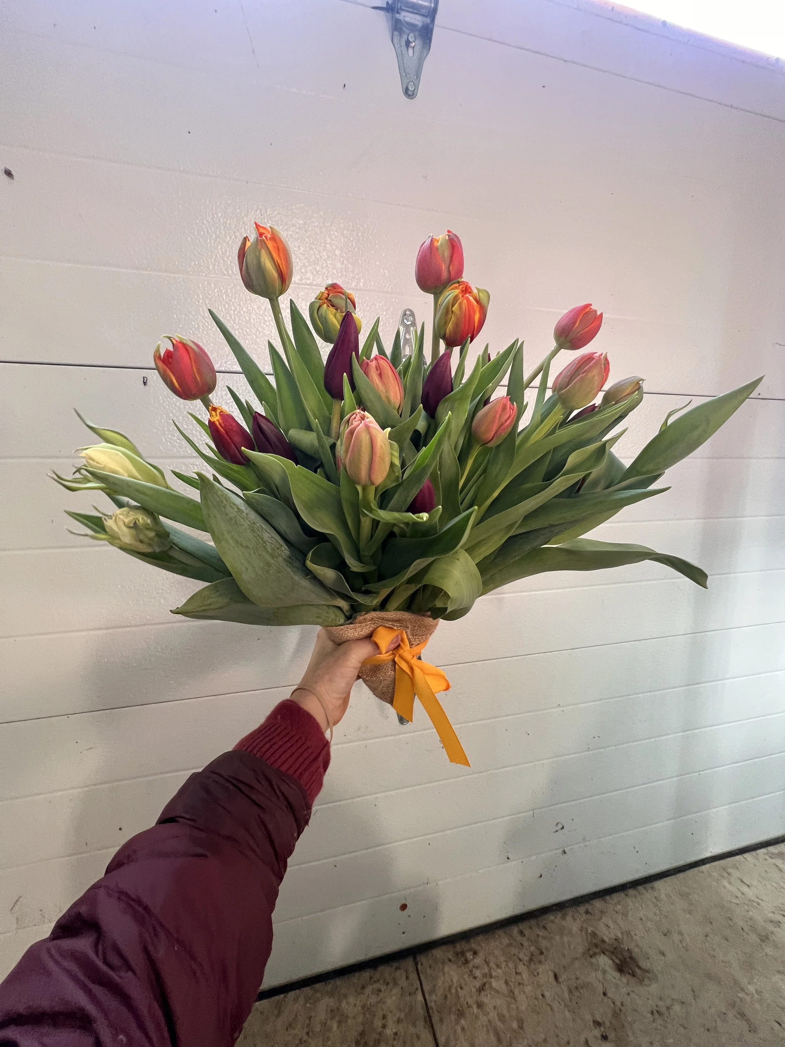 Level UP Tulip Bouquet (25 speciallty stems)