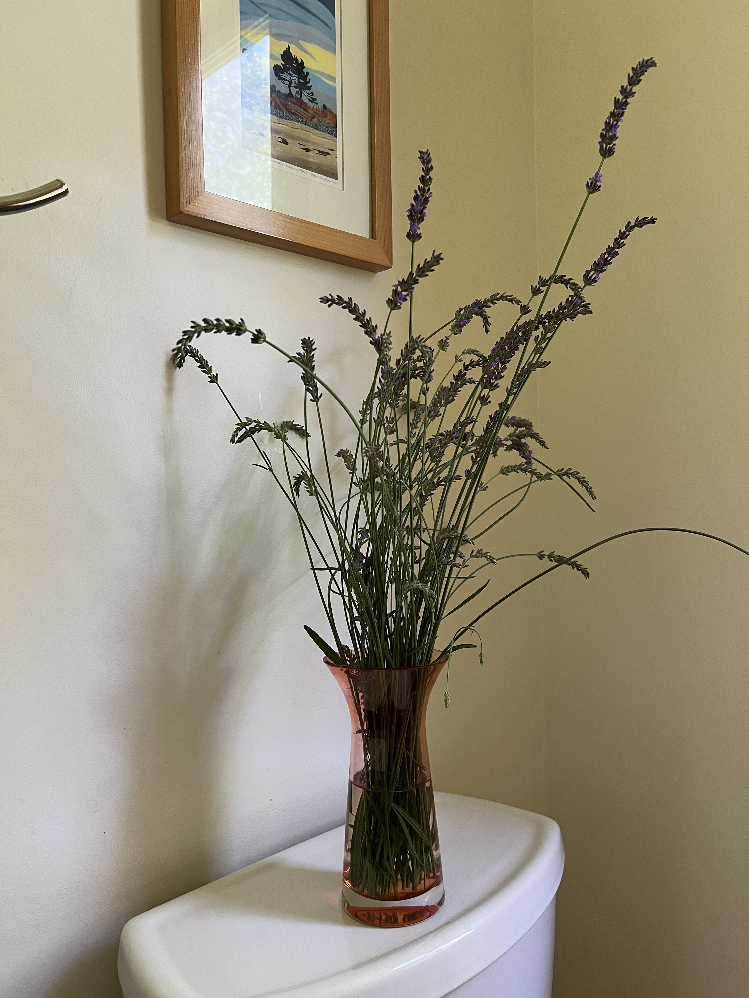IMG_6780.jpeg