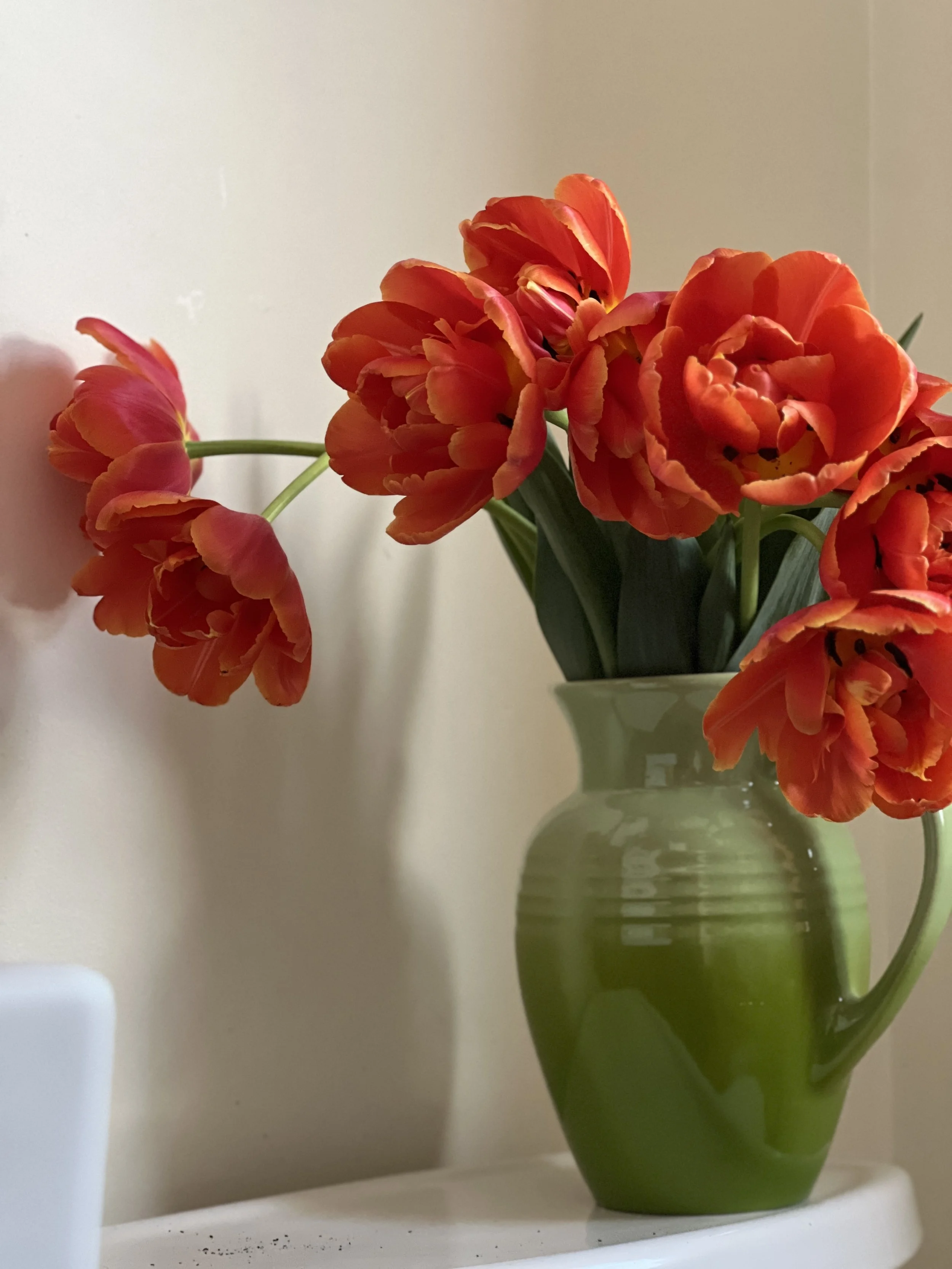 SHIPPING Tulip Bouquet (two dozen tulips) -SOLD OUT UNTIL 2026