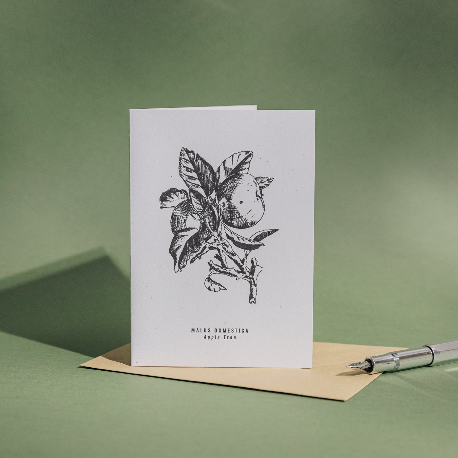Apple Tree botanical illustration greetings card by Alfie’s Studio. The black ink illustration shows two apples on the end of a stem with leaves and has the common and Latin names at the bottom.