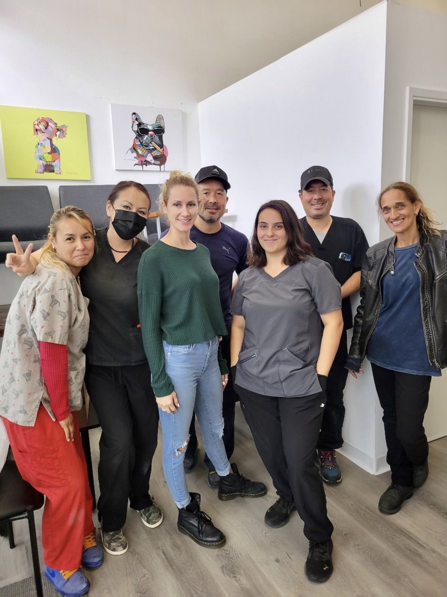 Amazing Small Animal Practice