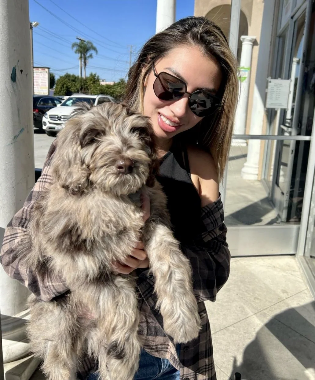 Amazing Small Animal Practice