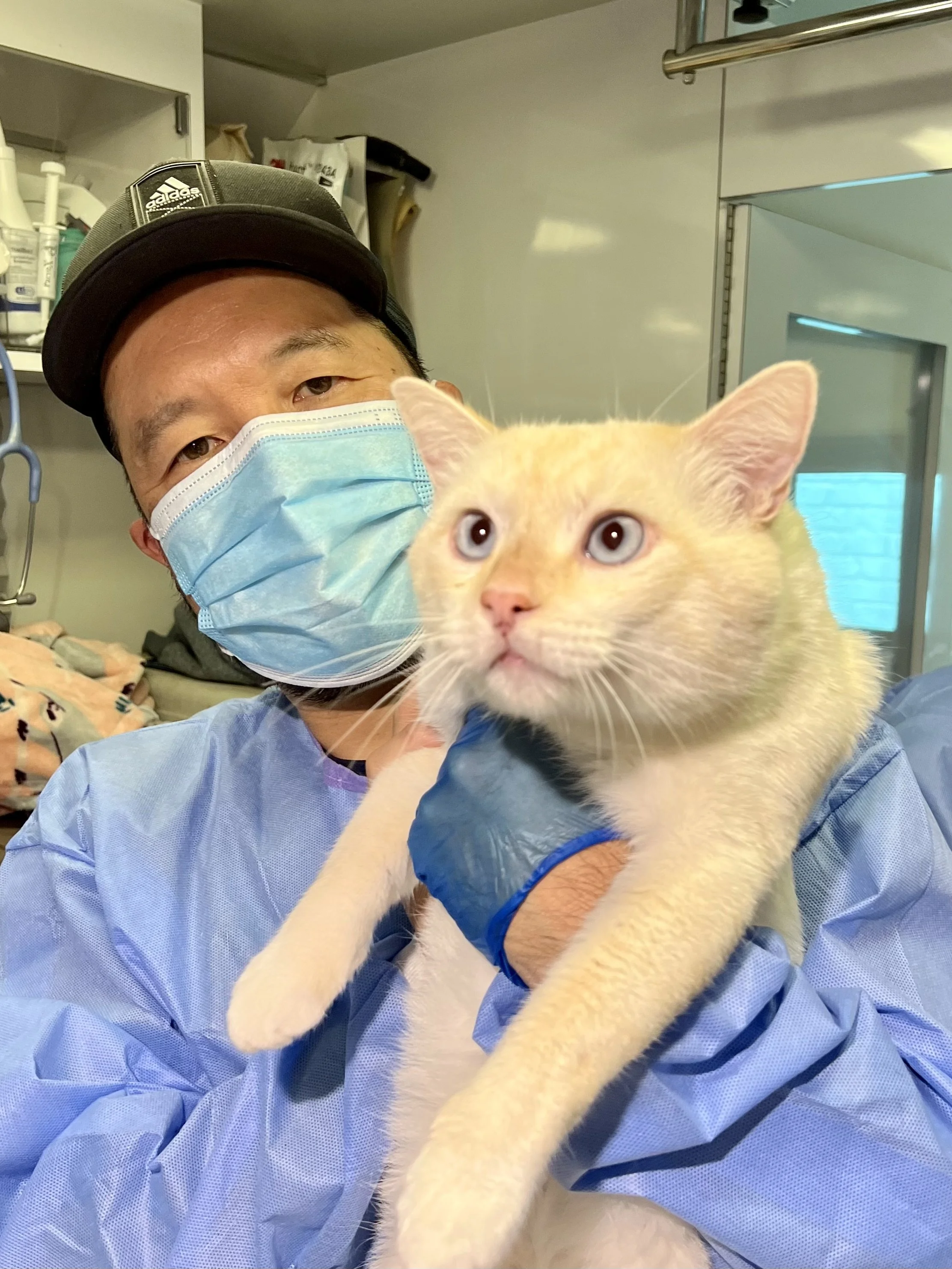 Amazing Small Animal Practice