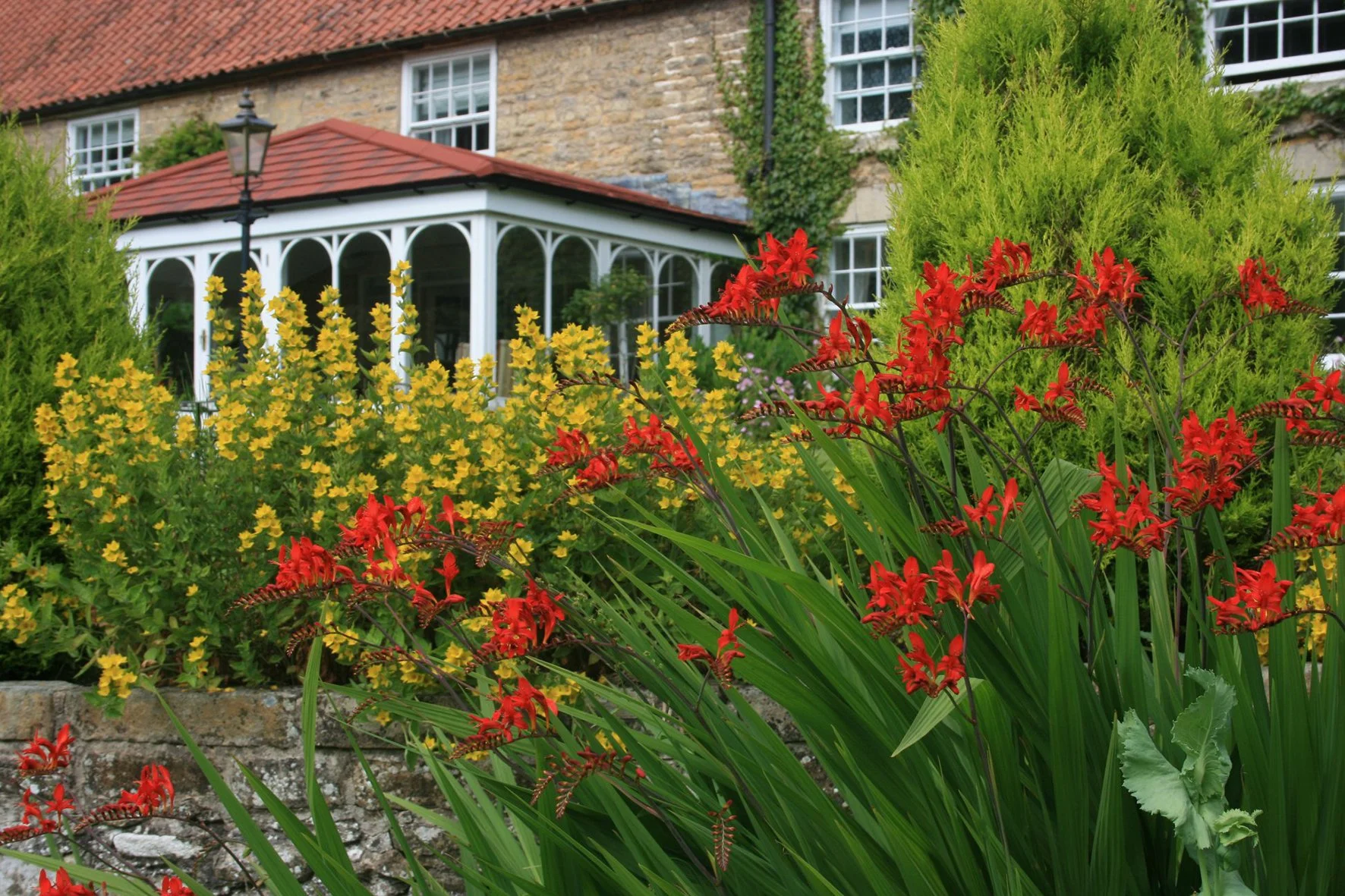 flowers 300dpi 10x15cm.jpg