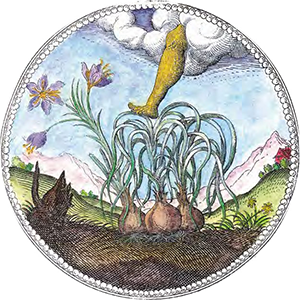 12/14/25 SYMBOLORUM: The Secret Wisdom of Emblems with perfumer Mandy Aftel&nbsp;Philosophical Research Society, Online