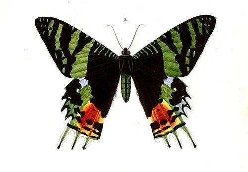 2/22/26 SIGN-UPS ARE NOW OPEN FOR TAROT-THON FOR IMMIGRANT JUSTICE