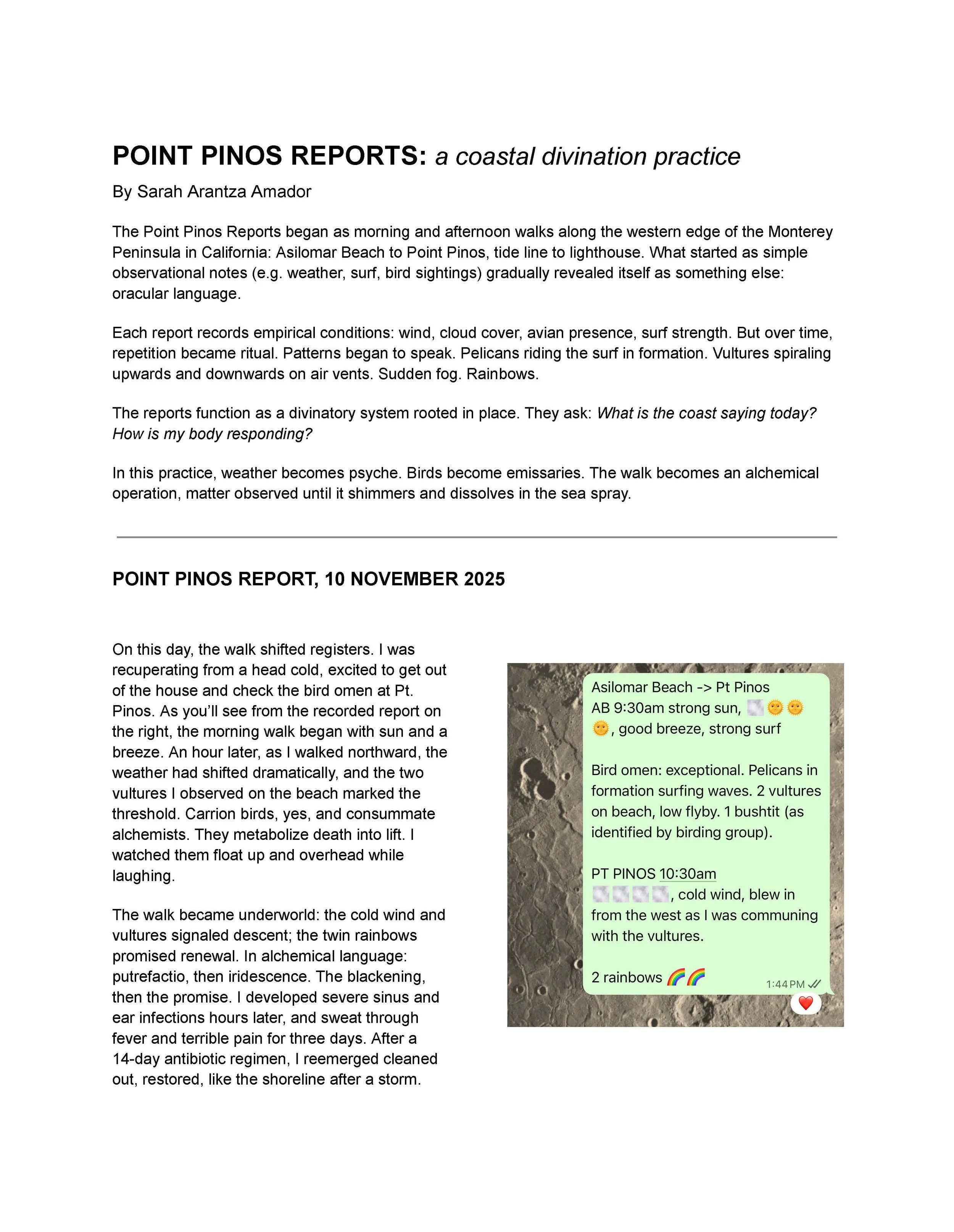 Sarah Arantza Amador, 
Point Pinos Reports