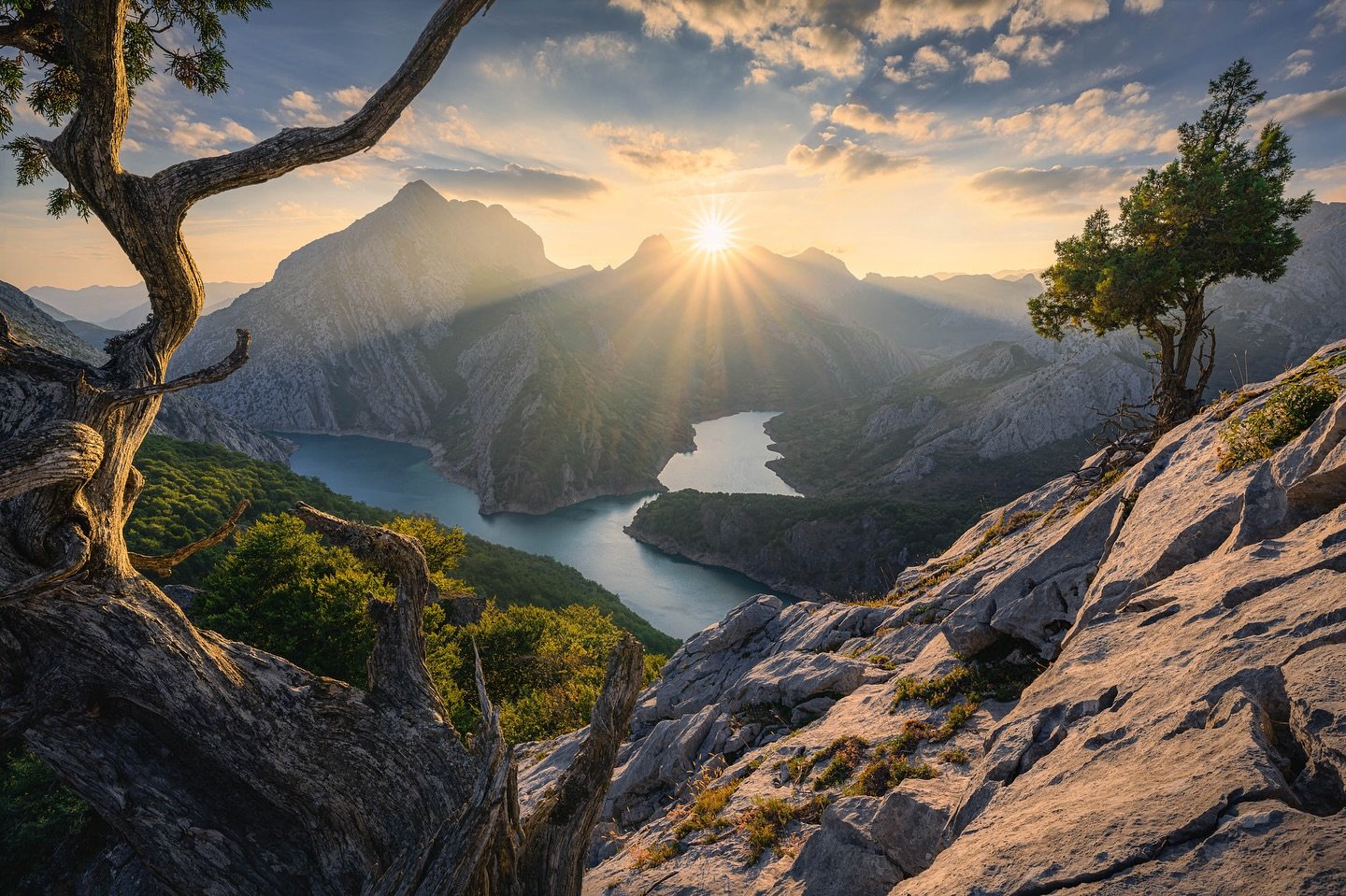 🇬🇧 Here is a collection of some of my favorite shots from last year for #earthday🌎 ! 
➡️ Way more to come in the next weeks, including the stories that come with each of them and many others !
❓Which one is your favorite ? 
~ 
🇫🇷 Voila une colle