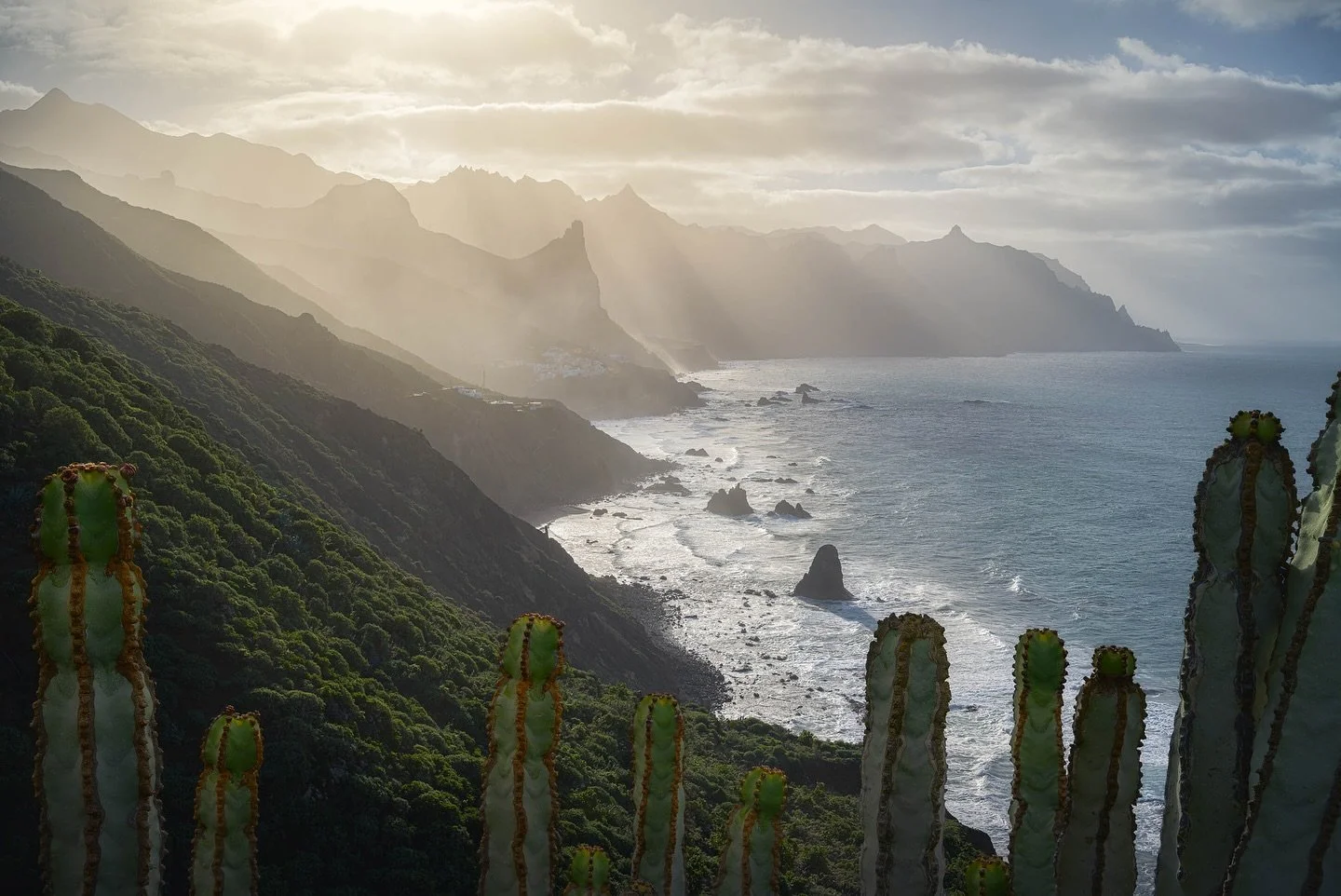 &quot;Golden shores&quot;
🇬🇧| The wild northern coast of Tenerife is my favorite area on the island.
While the beautiful Teide volcano or the impressive Los Gigantes
cliffs in the south attract more tourists, I've personally always been
drawn to th