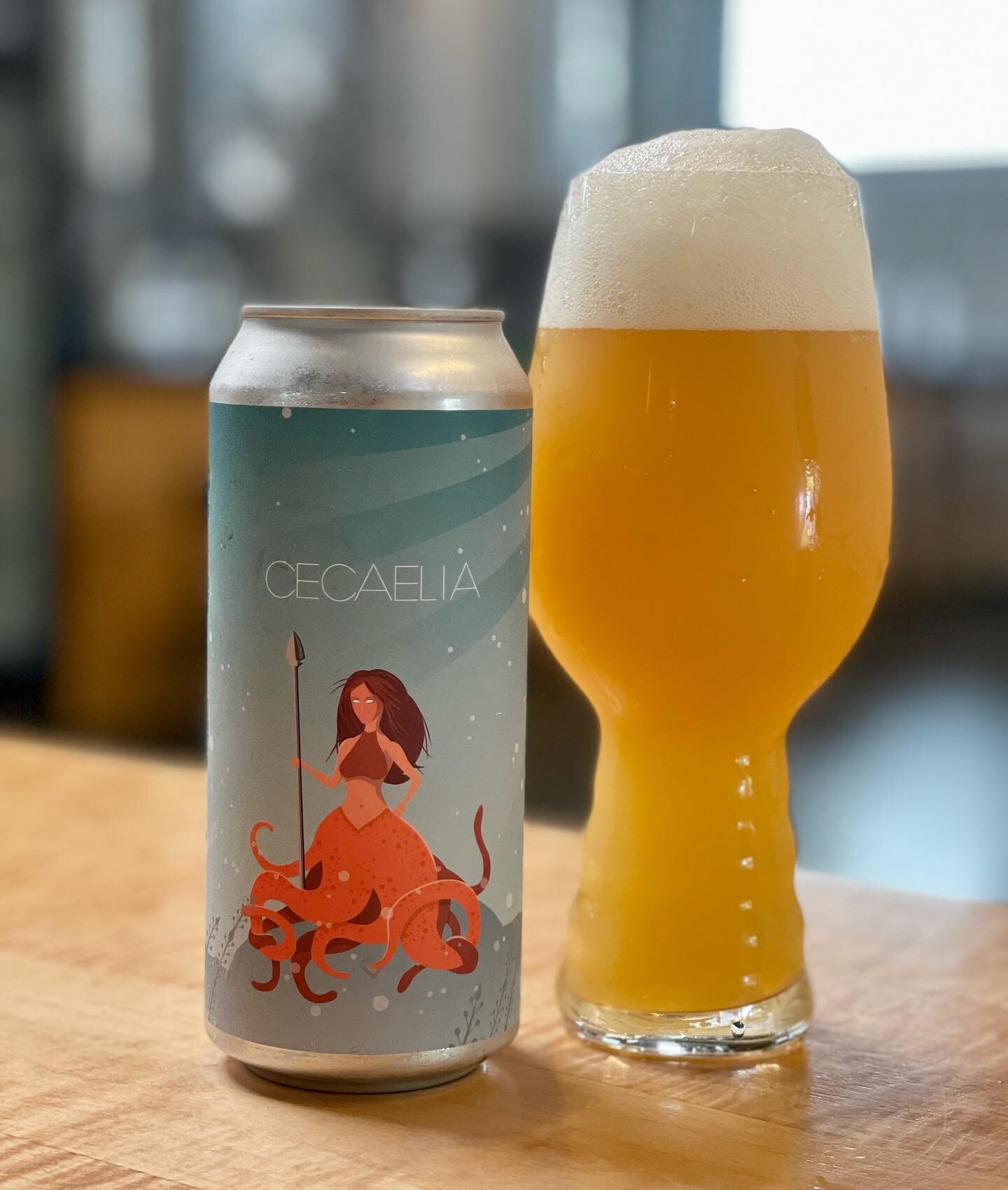 New beer release today! We are open at 4
Cecaelia HDHC Hazy IPA 6.5%
.
What in the H is HDHC??? Some whacky new term for using a whole lot of hops in different forms. High Density Hop Charge. We used Citra, Strata, Incognito Citra, and Citra Cryo to 