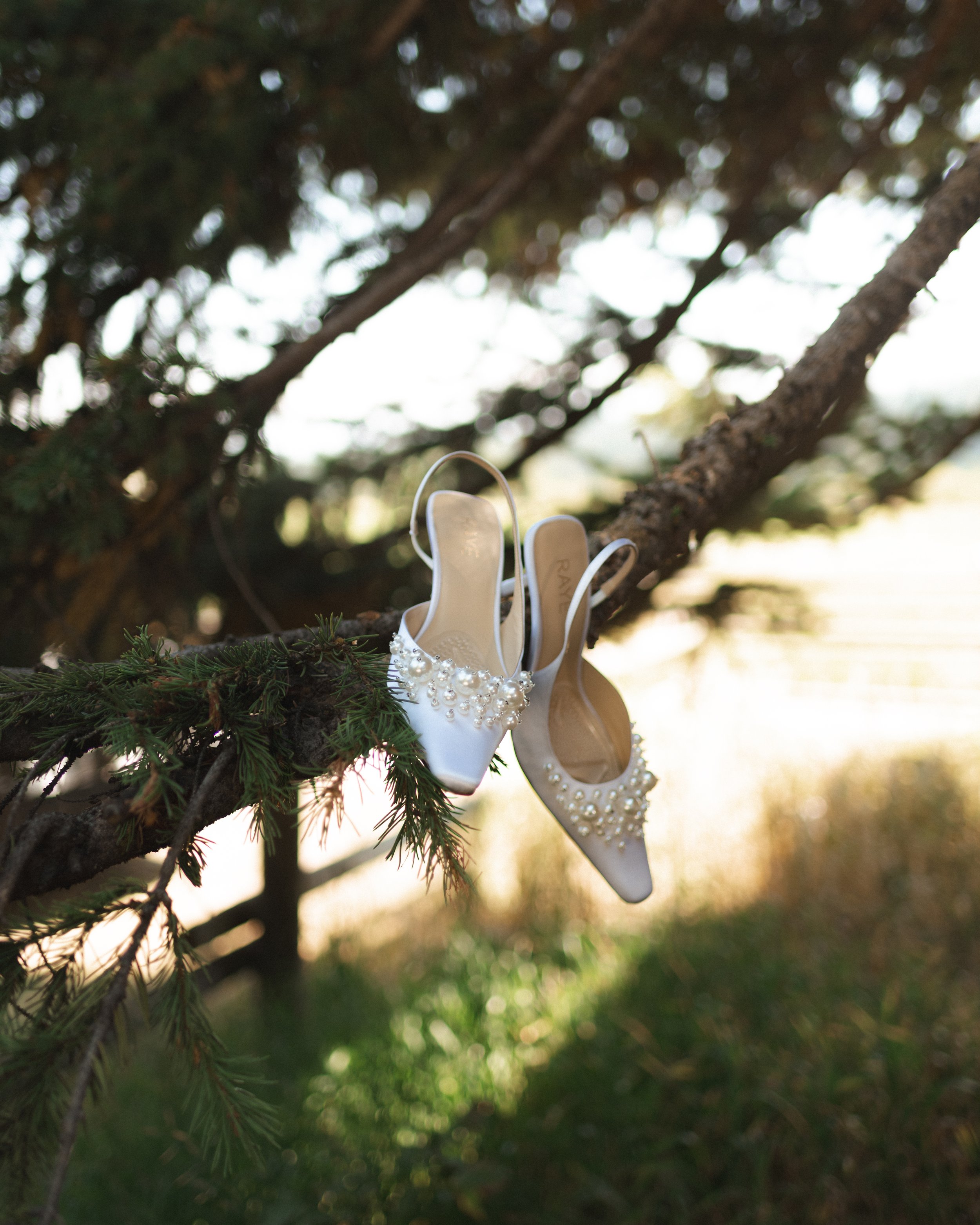Jackson Hole Wedding Photographer. Film wedding Photography. Chic Wedding Shoes