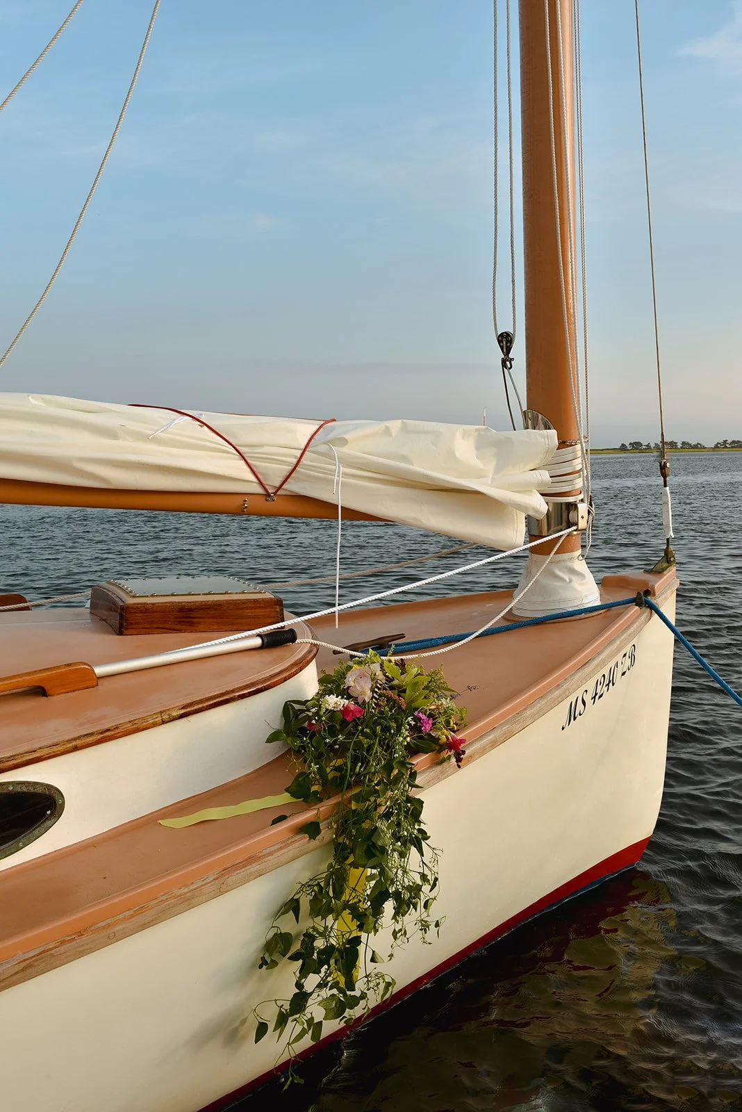 Rosapaul-492_websize.jpg