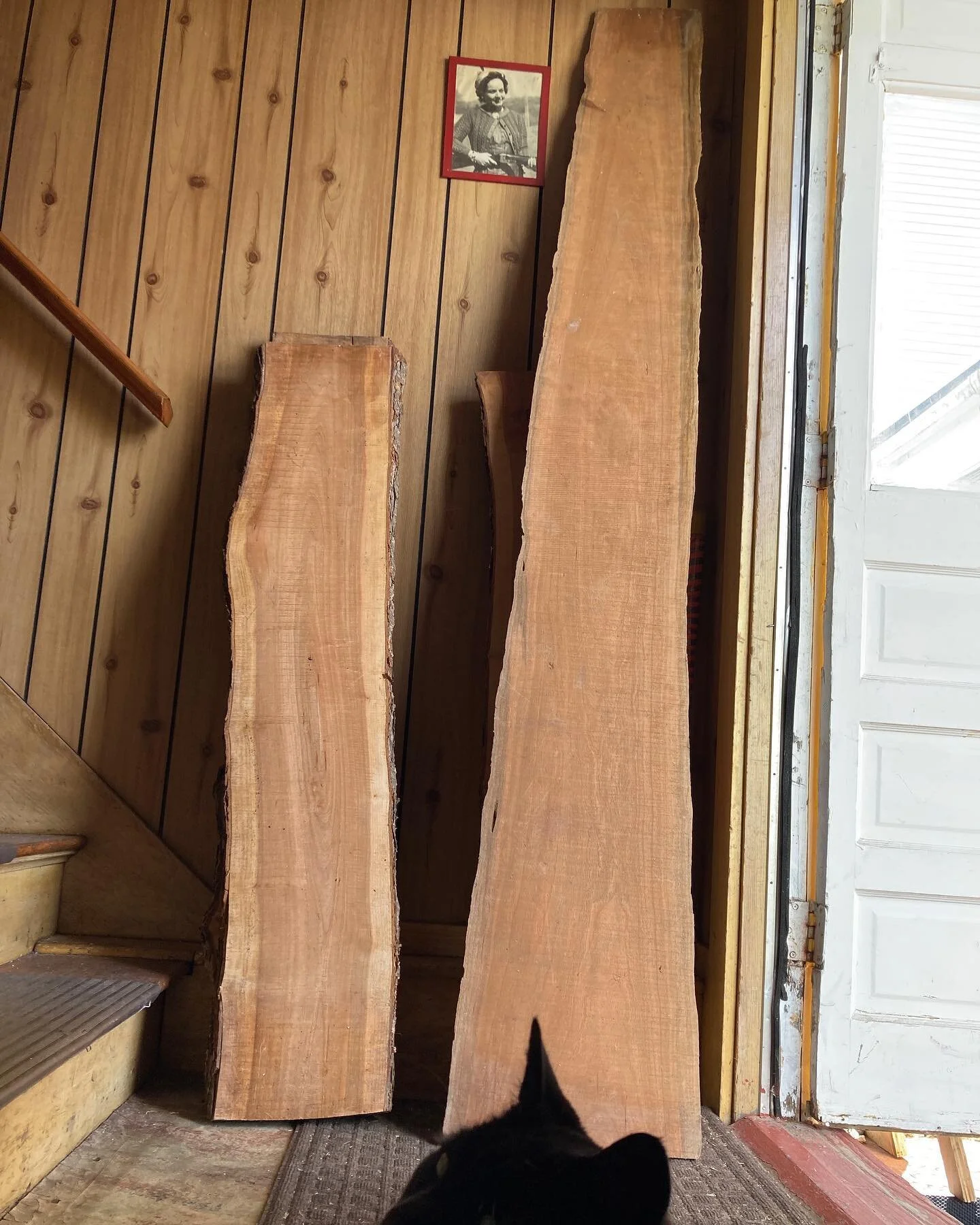 Cherry from a new client who has commissioned a kitchen helper in solid wood 🫡

#catusinterruptus #commission #kitchenhelper #woodworking #cherry #newclient #maine #supportsmallbusiness