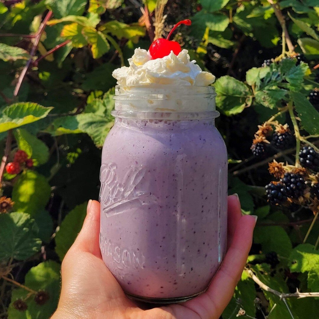 Blackberry lemon milkshake, made with fresh blackberries and lemon zest! Here for the month of September, it's a perfect back to school treat 😋

#mychosensugarshack #mychosencafe #metchosin #metchosinbc #milkshake #icecream #yyjtreats #yyjicecream #