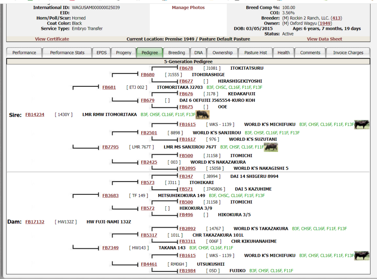 pedigree.png