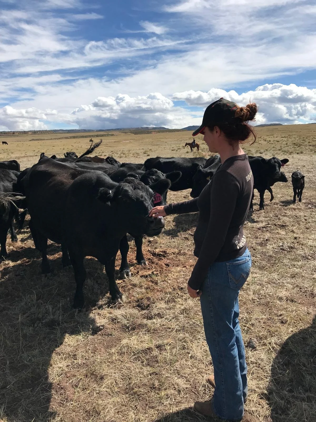 Kelly McGuire takes over the historic Oxford Ranch as manager